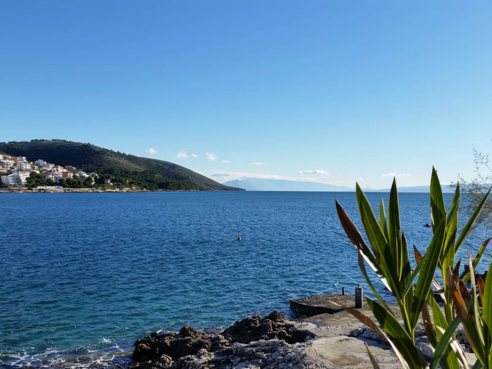 "Mladen" mit Blick auf das Wasser