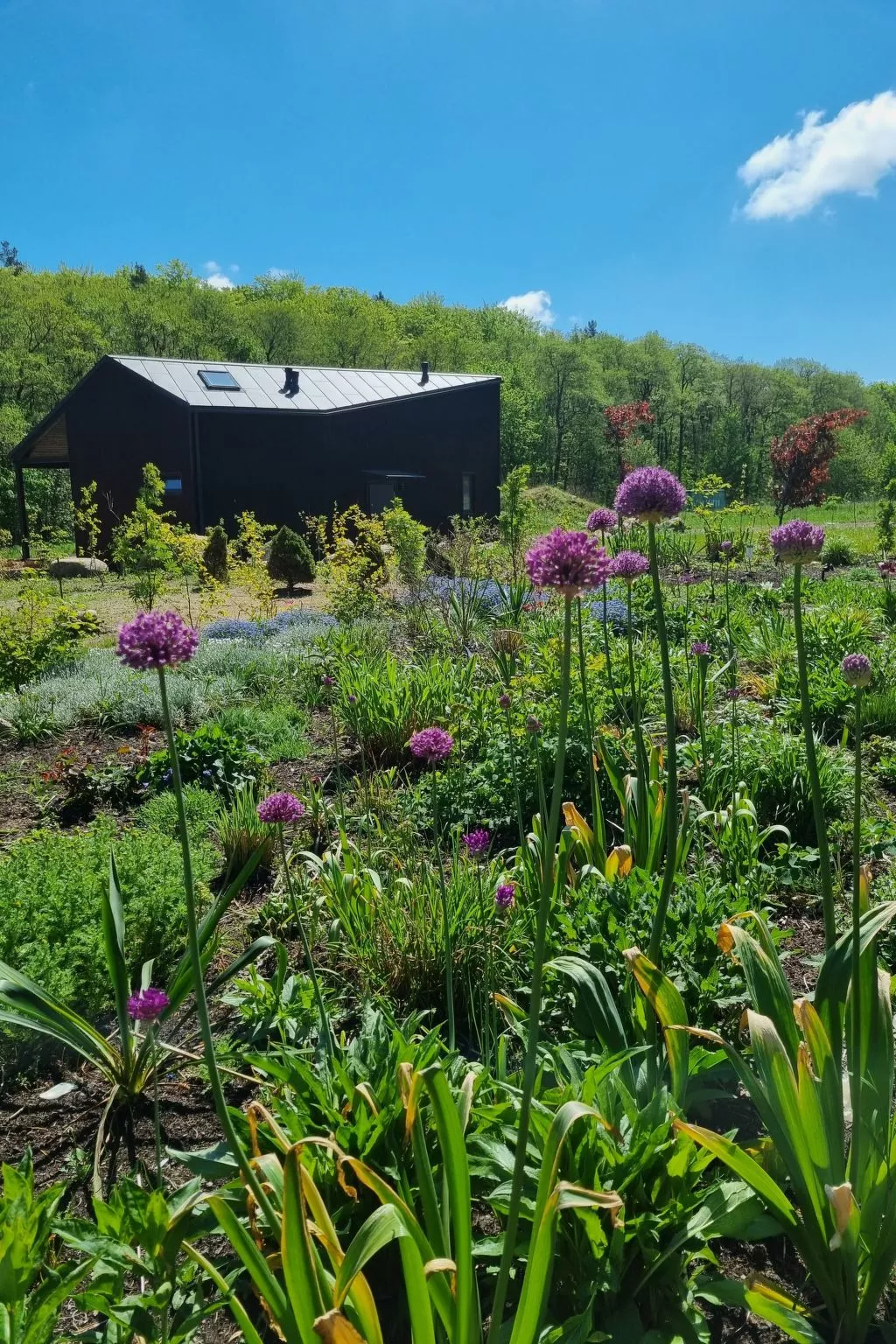 Lublewo21 Ferienhäuser