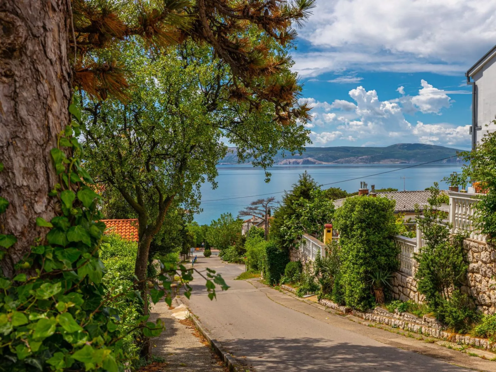 Wohnung Velvet Vista 4