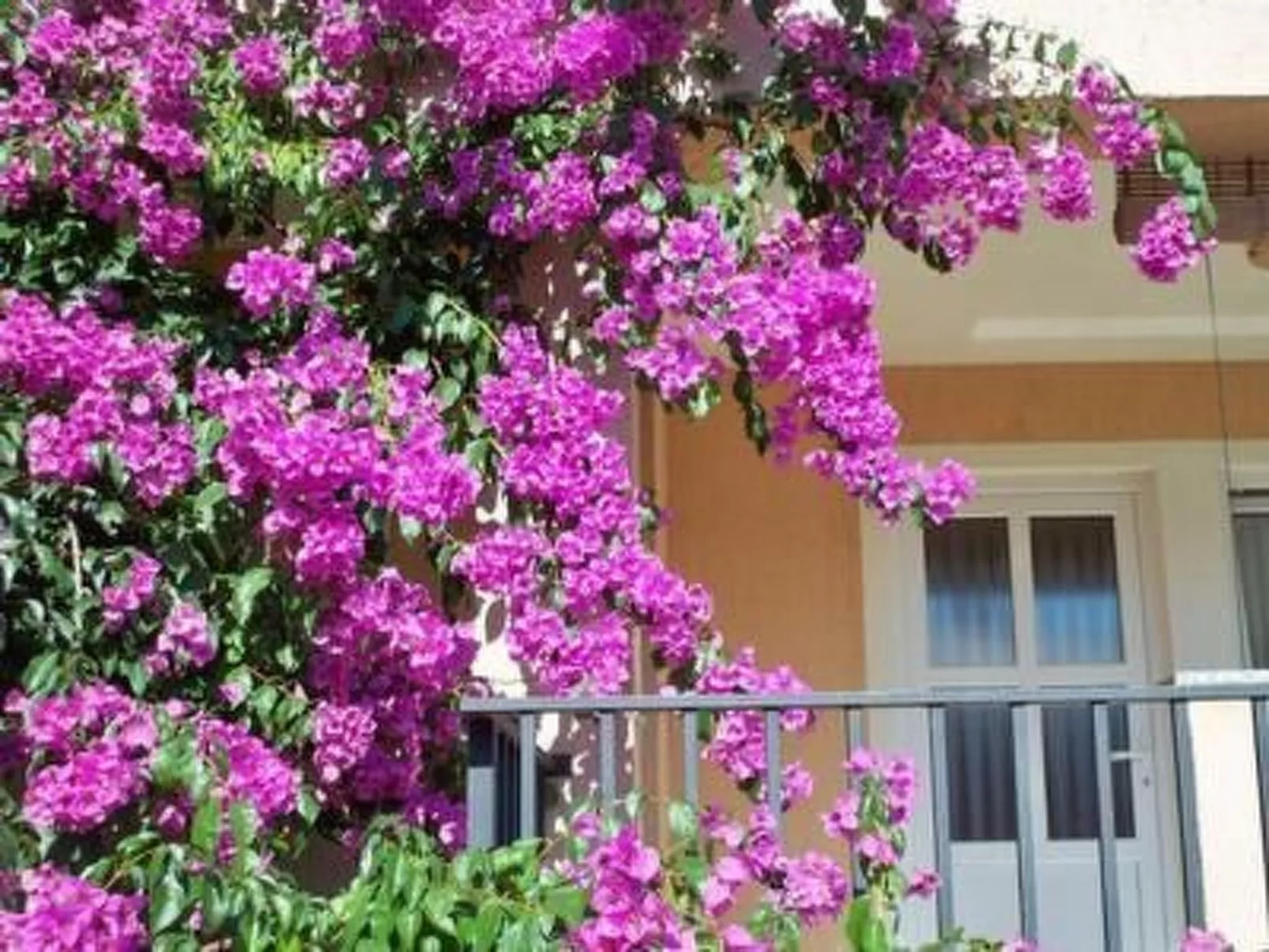 Mit privater Terrasse