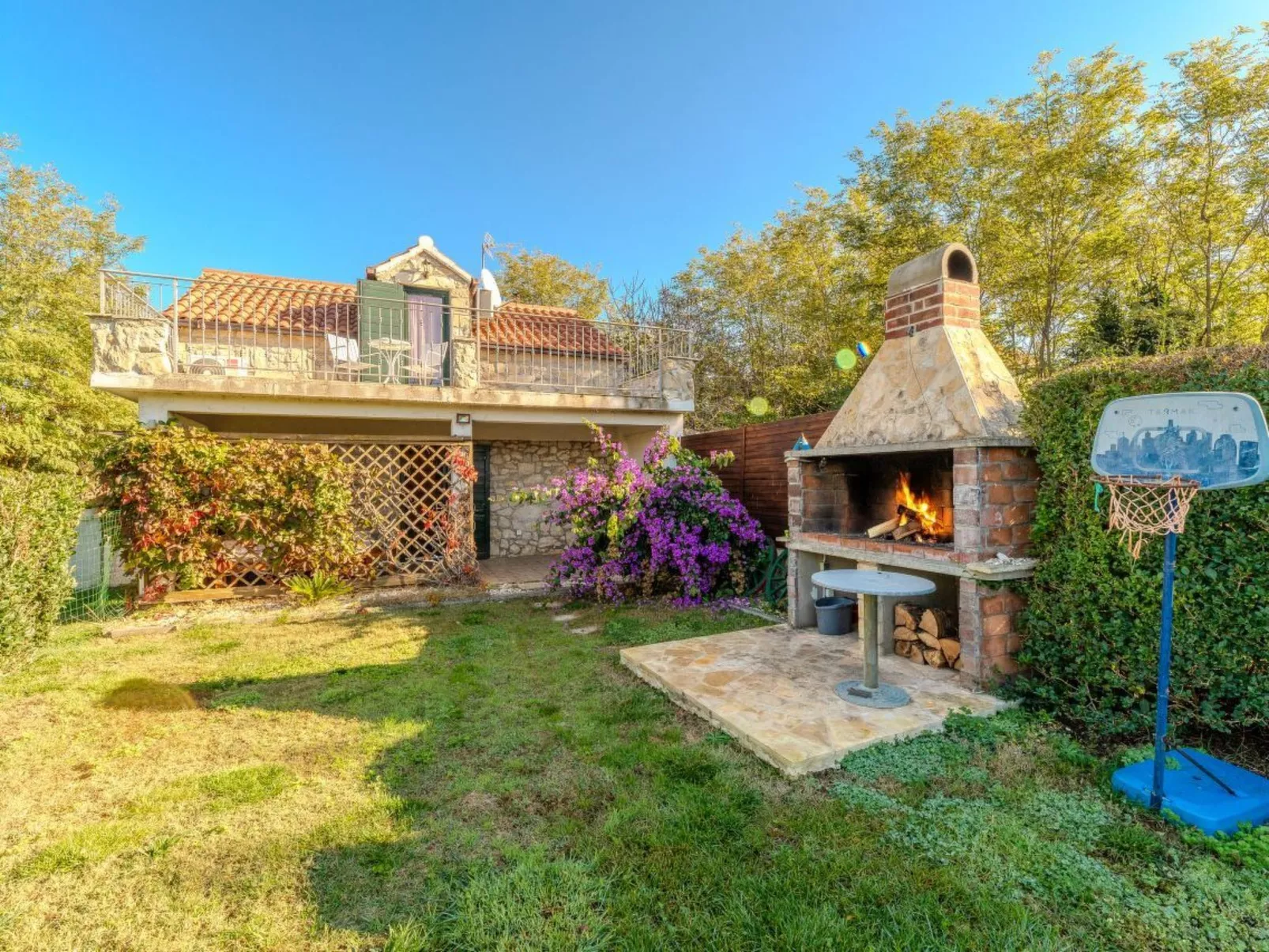 Orhideja - Agentur TA Leut