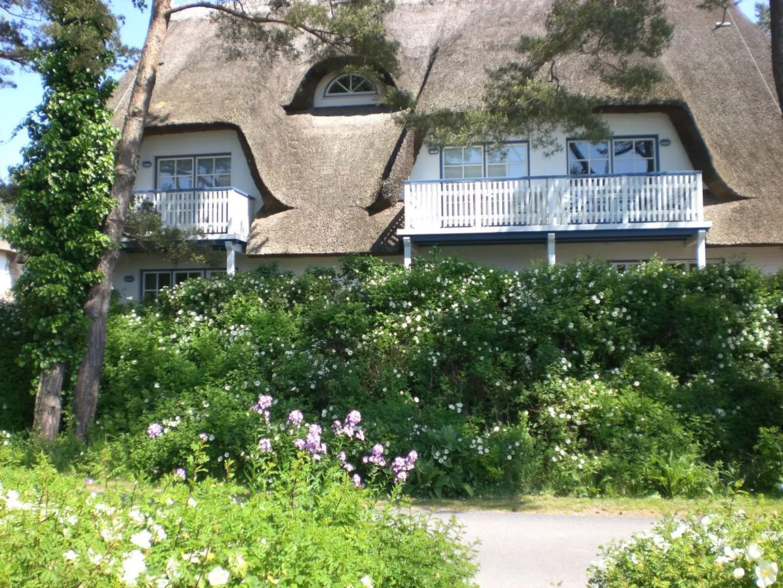 Appartement Achtern-Diek-am-Strand in Zingst