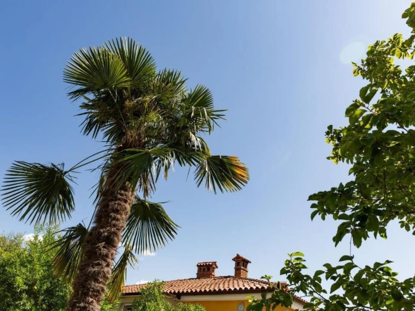 Wohnung in Lucija mit Garten