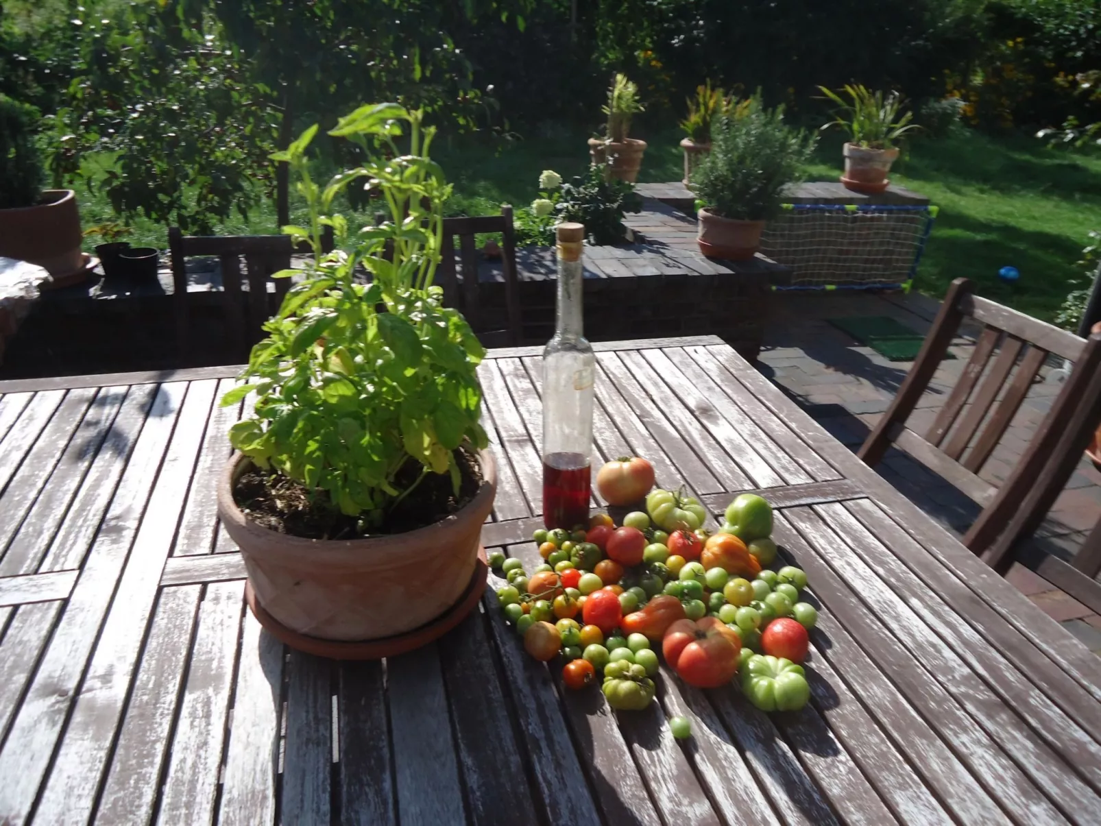 In ruhiger Lage am Waldrand