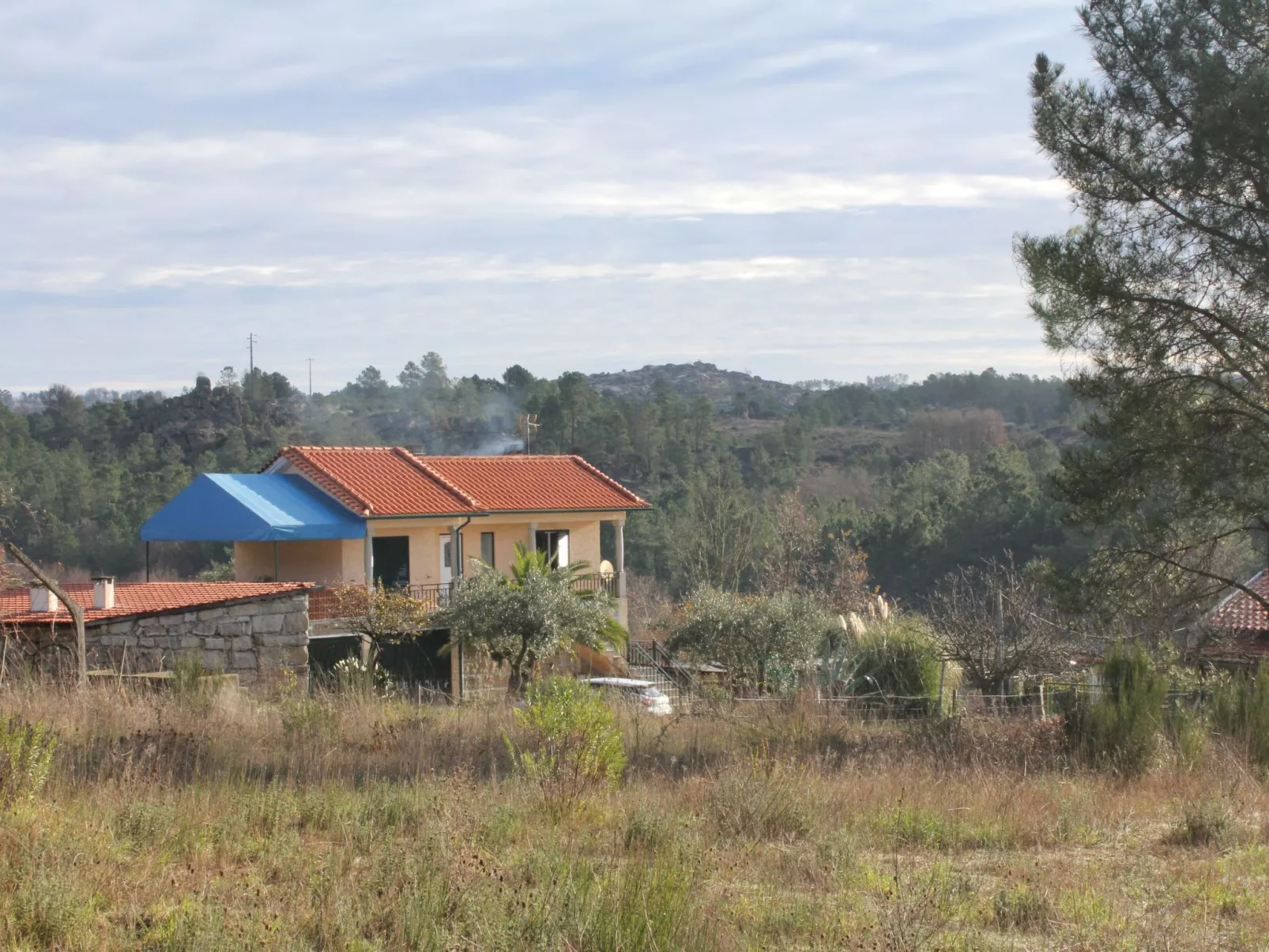 Ferien auf dem Bauernhof mit Weinberg