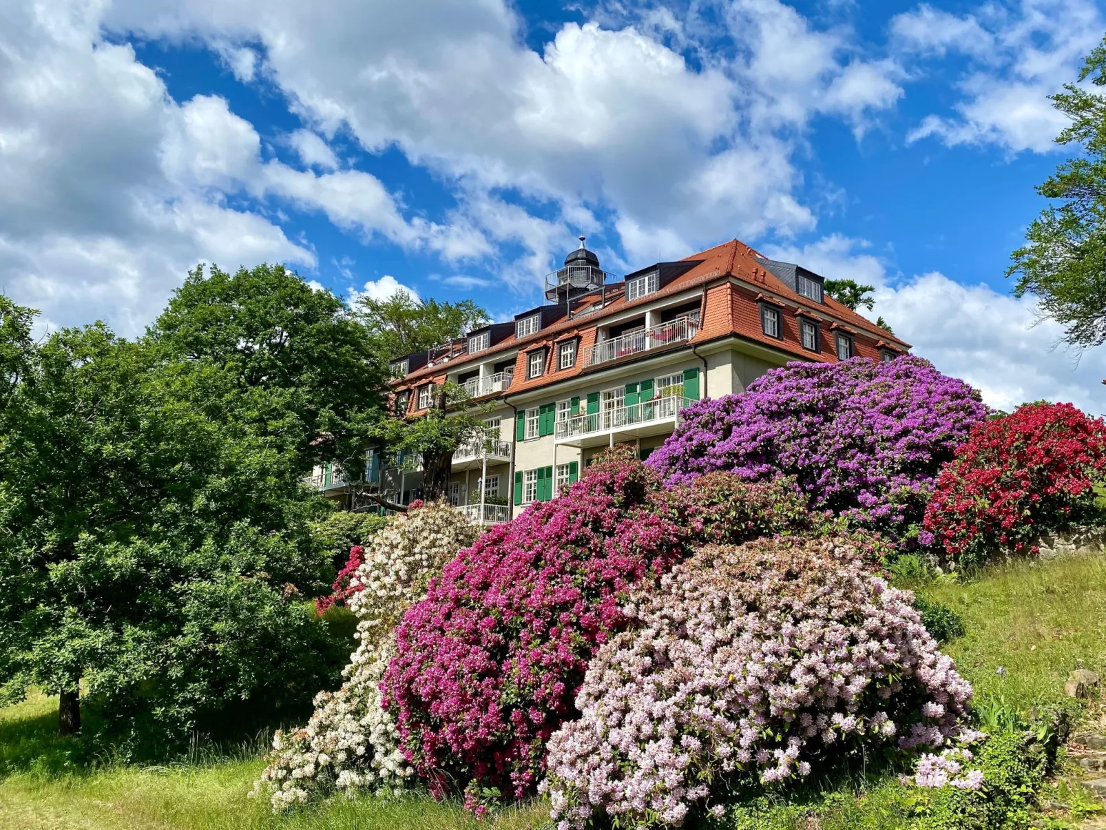 Fewo Natur und Kunst