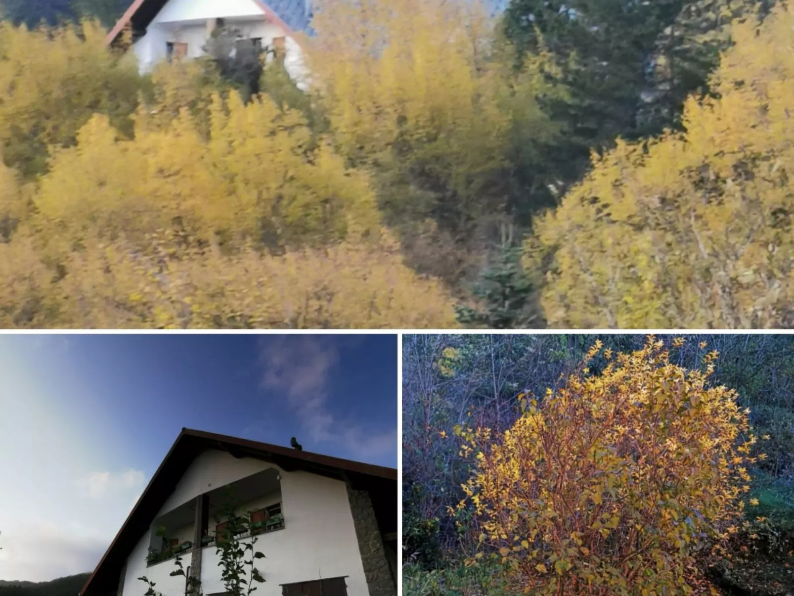 La Perla dell'ALta Via Wohnung mit Park