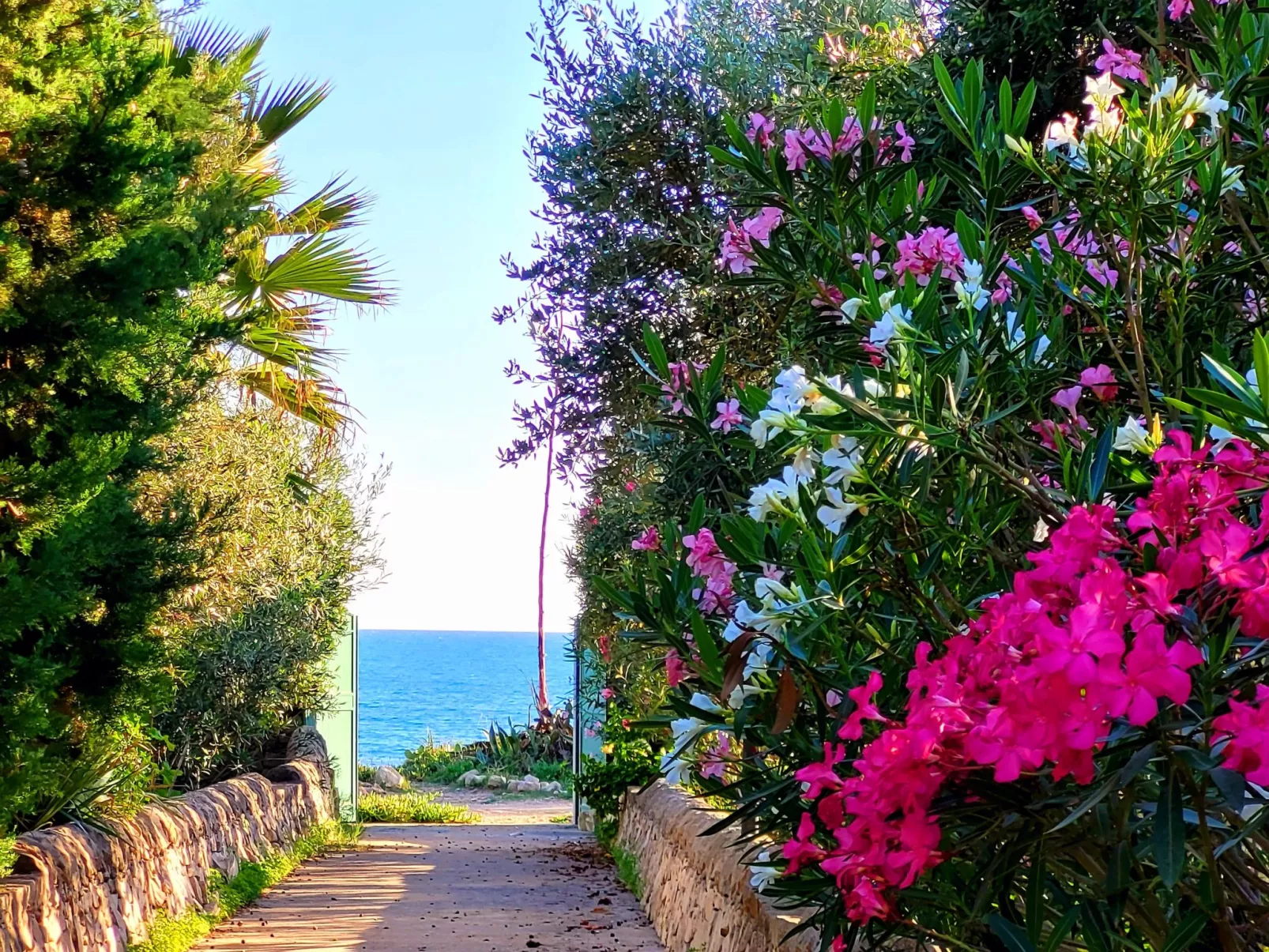 Kleines ruhiges Ferienhaus direkt am Meer