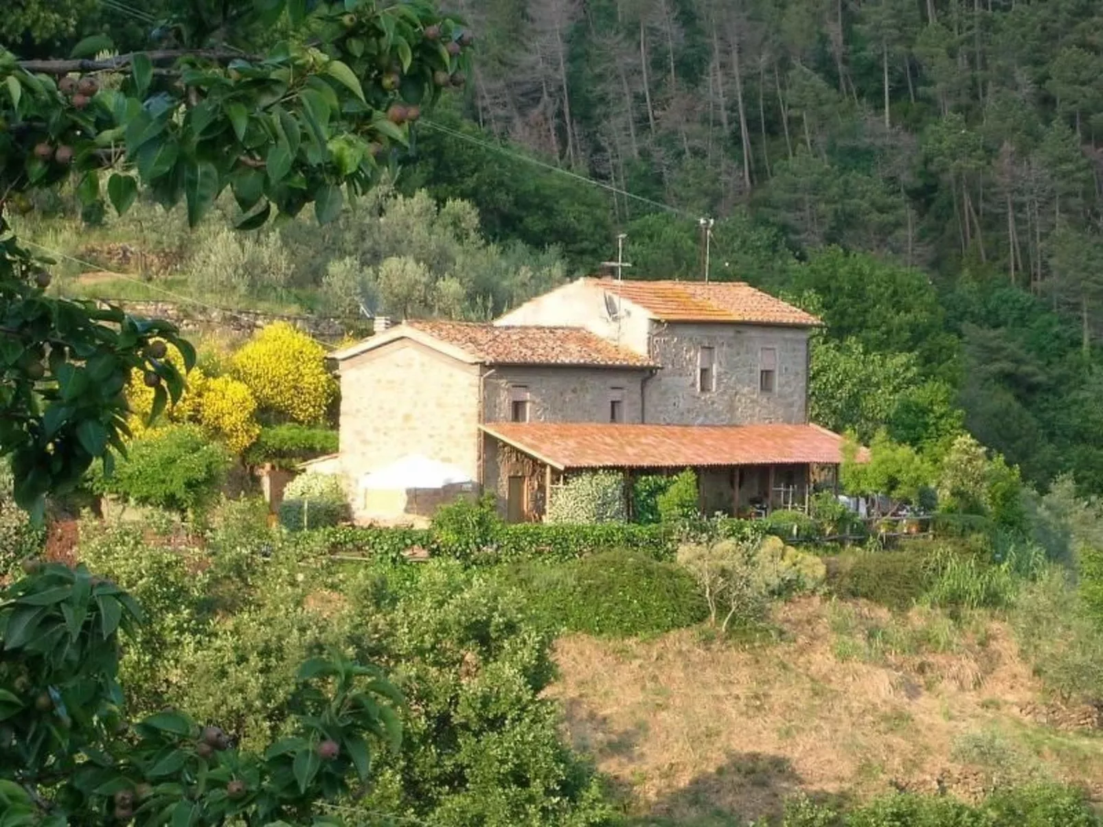 Bauernhaus Biancospino