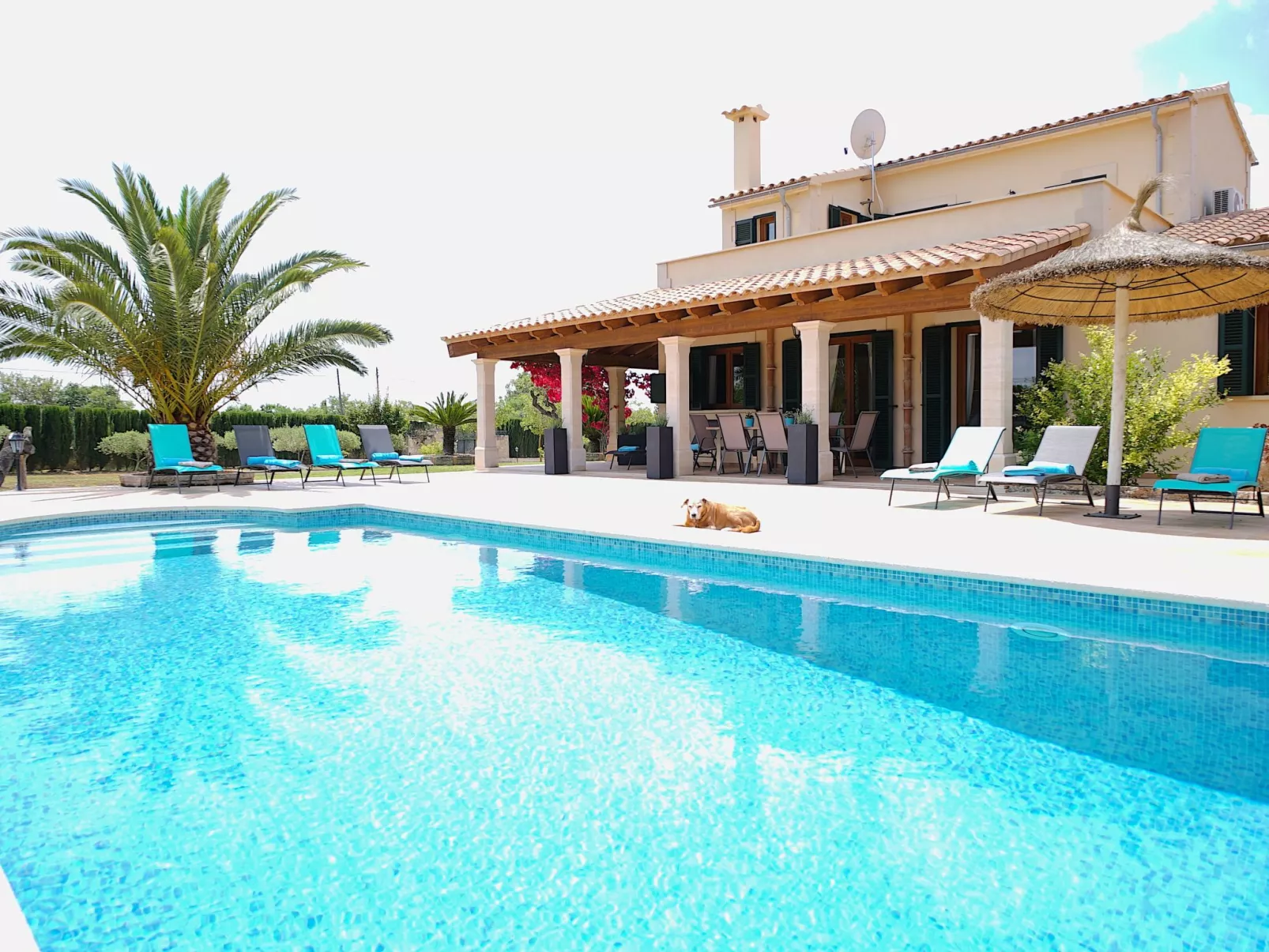 Nettes Ferienhaus in Llucmajor mit Großer Terrasse