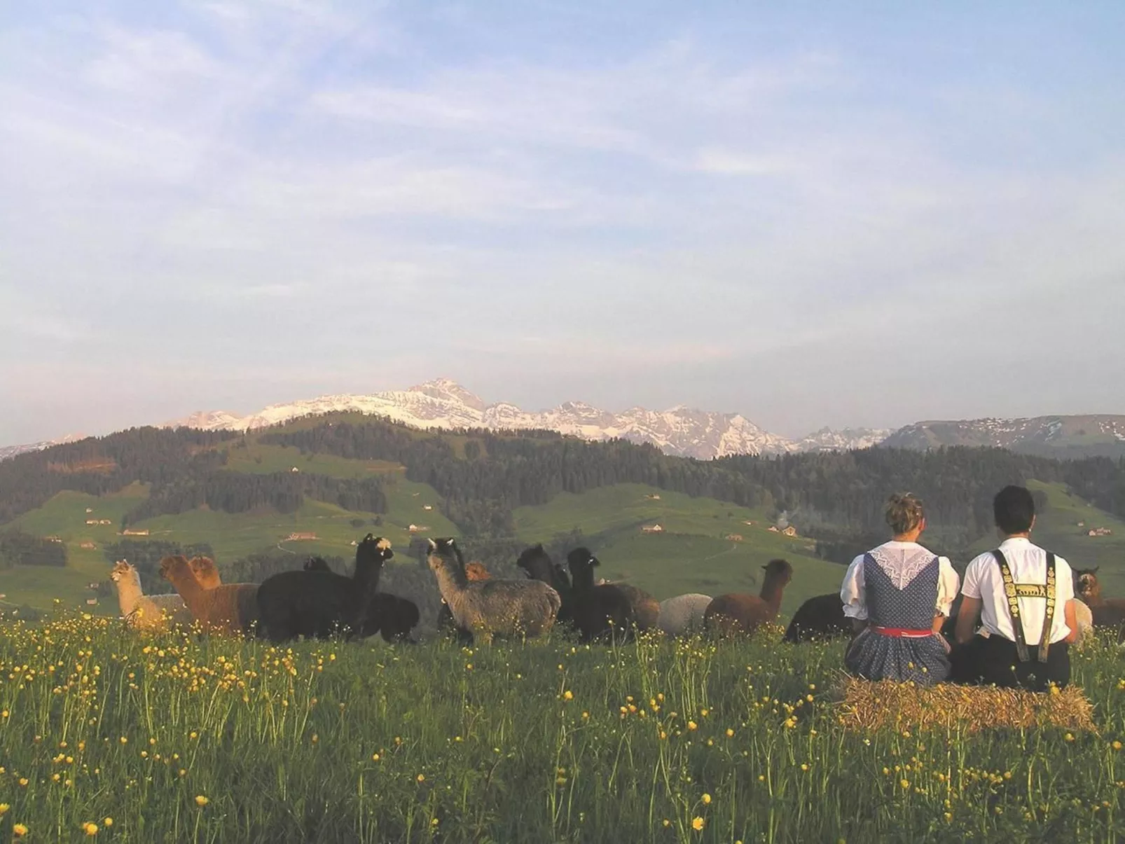 Alpakahof Ferien-Buiten