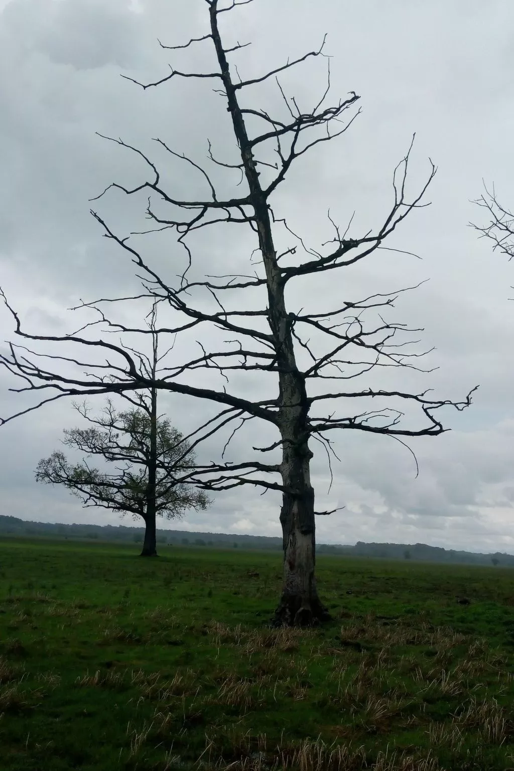 Ländlicher Tourismus-Buiten