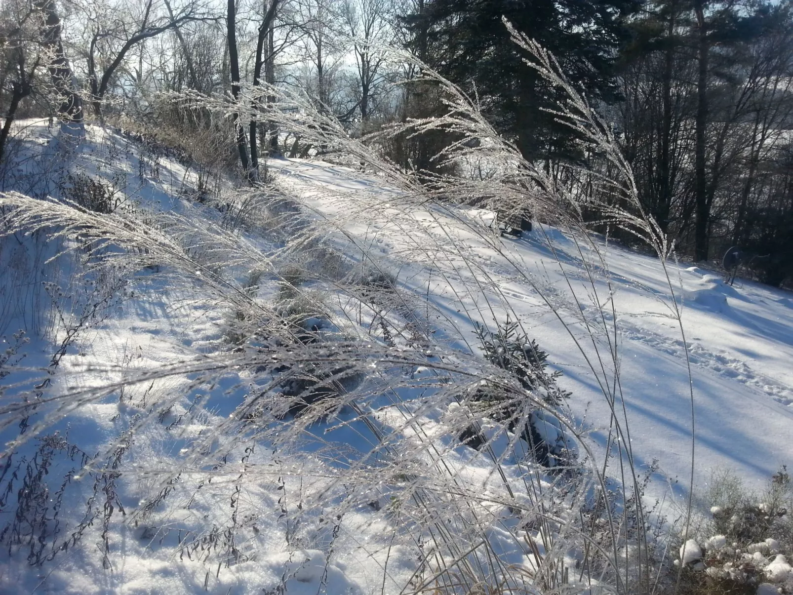 Mit einer umwerfenden Panoramaaussicht-Image-tags.info