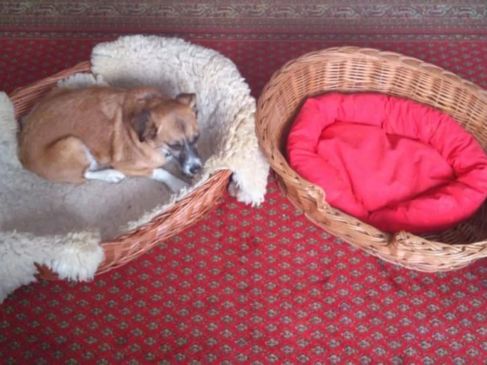 Haus mit  freier Fahrradnutzung und kleinem Boot-Image-tags.info