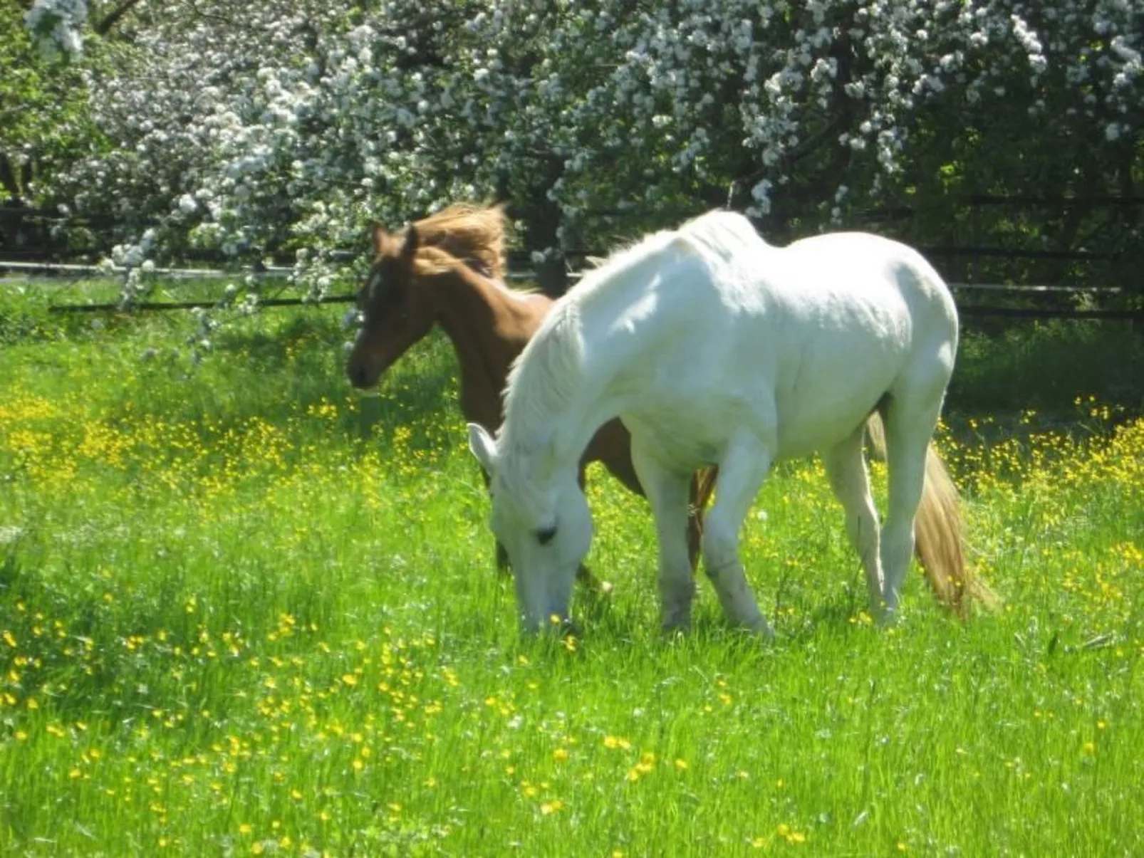 Mit Terrasse und Parkplatz