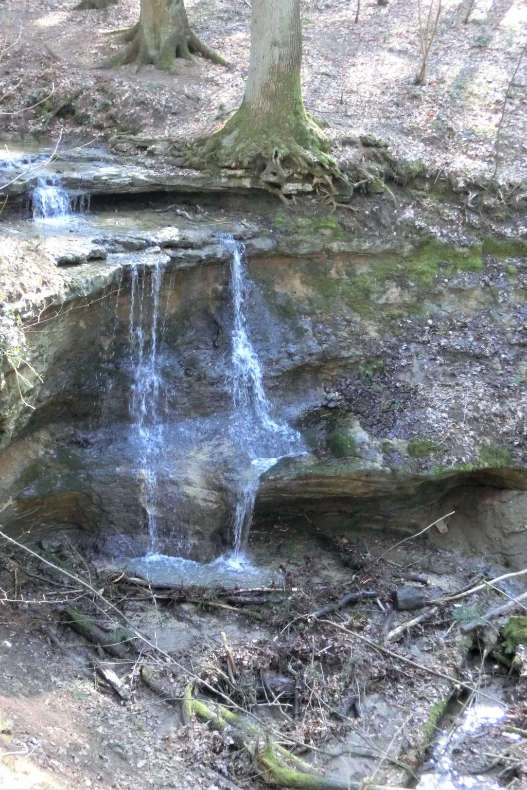  Lauf-Image-tags.info