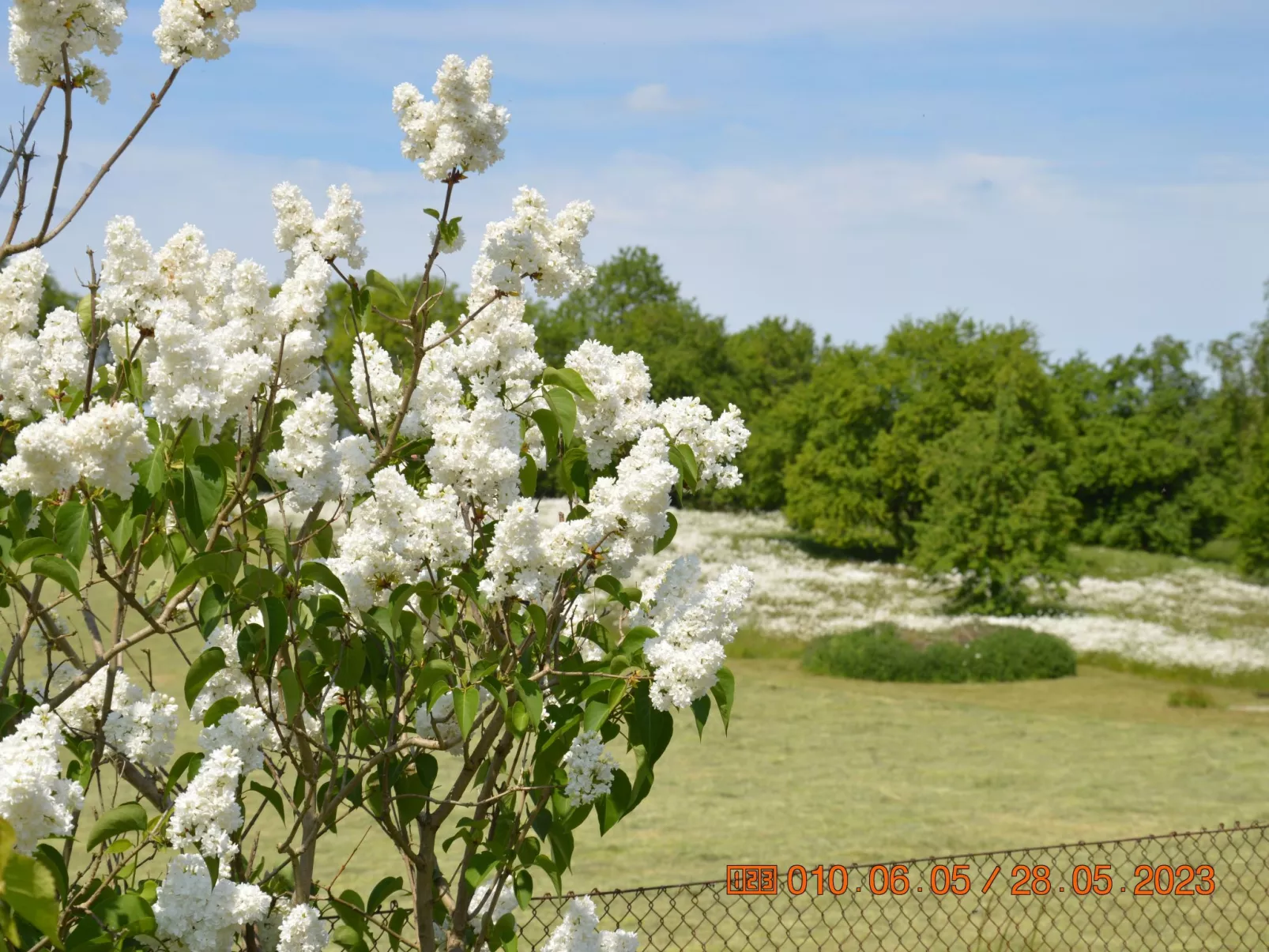Büdnerei Cantnitz-Buiten