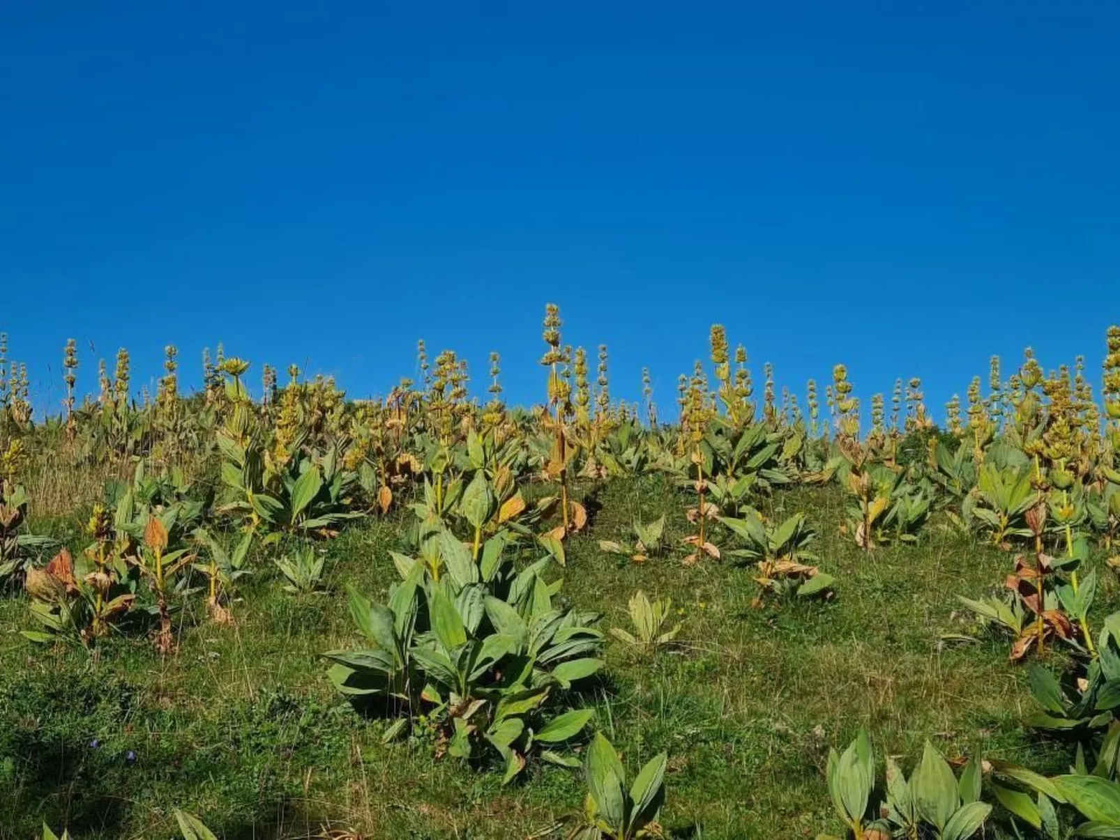 Wohnung in altem, renoviertem Bauernhaus