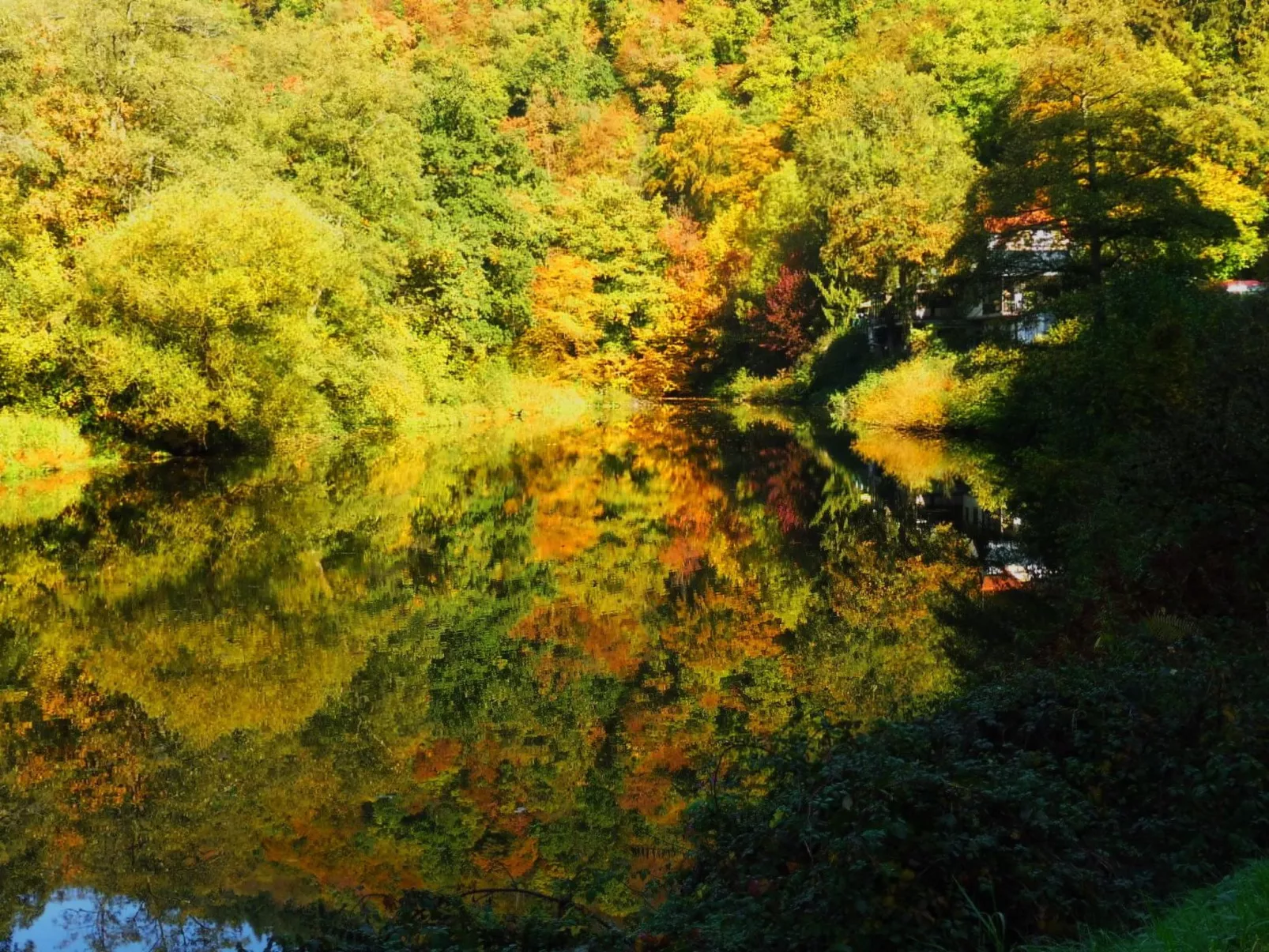 Chalet Wiedfluh in Waldbreitbach