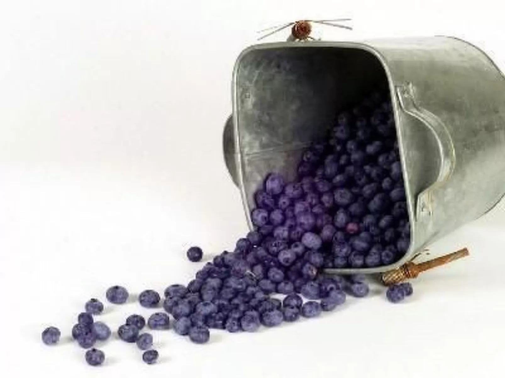 NO 1 in Island West. Best View Cottage.