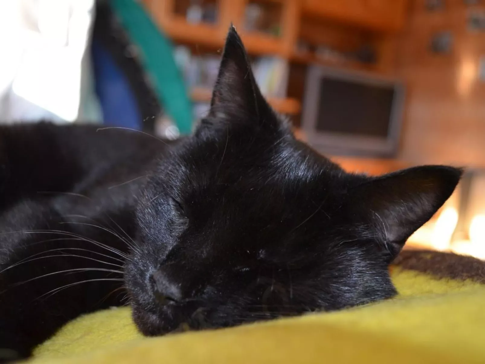 Biohof Furn-Image-tags.info