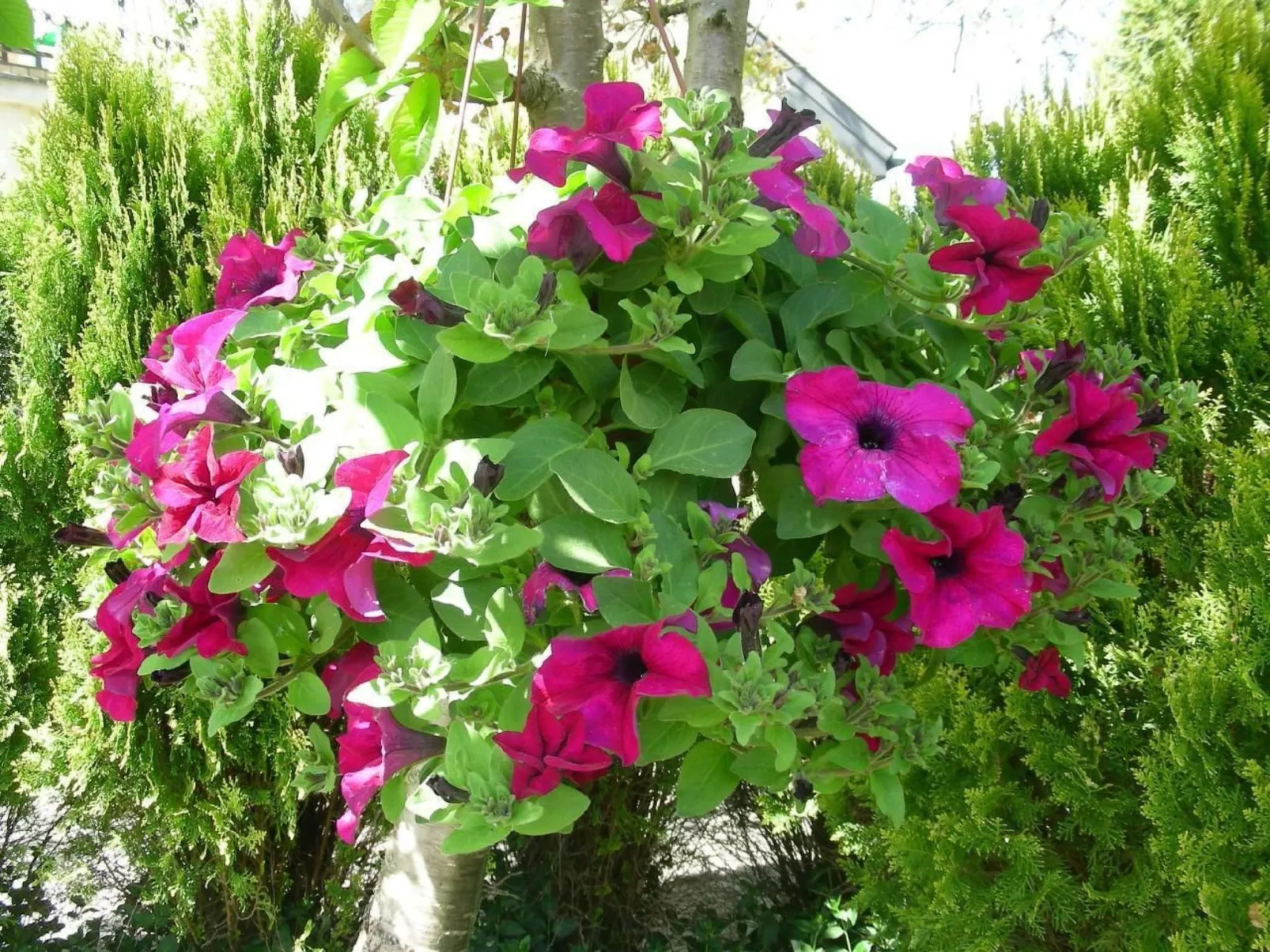 Mit Wasserblick-Image-tags.info