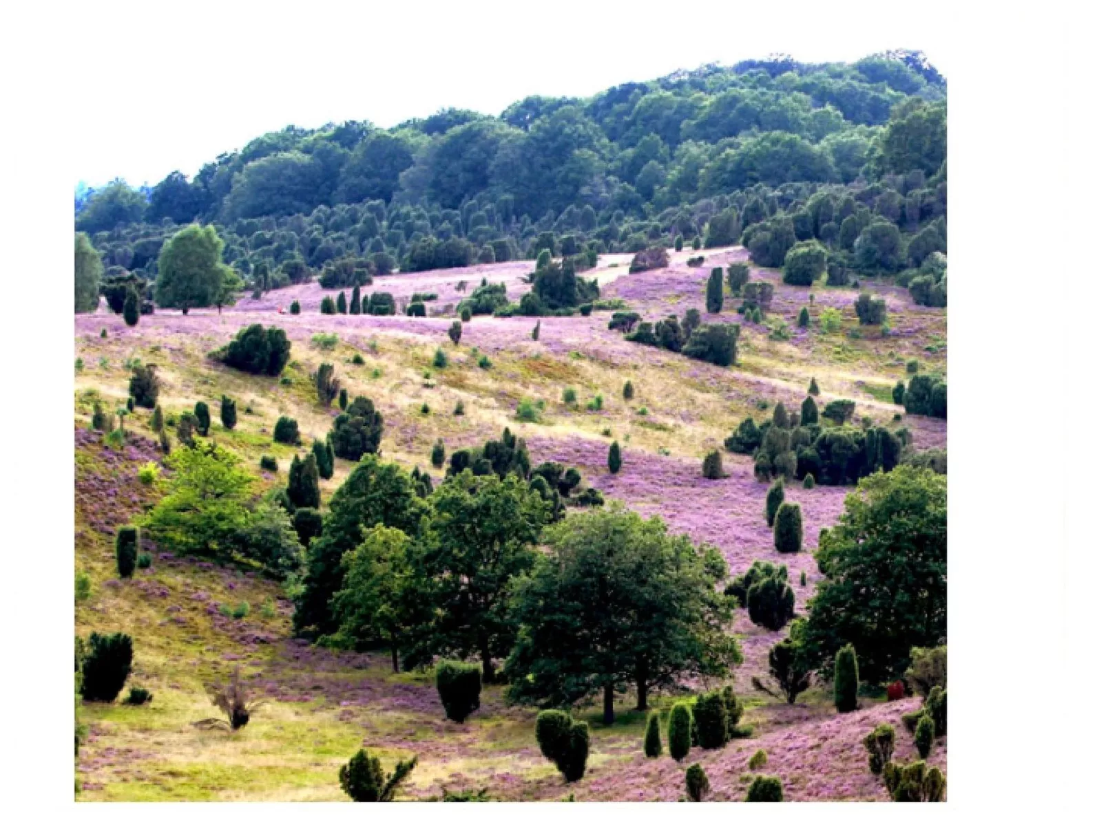 In Wolterdingen mit Eigener Terrasse-Buiten