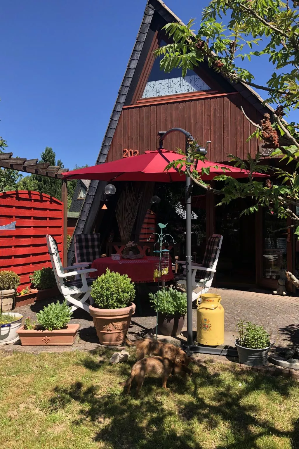 Eifelhäuschen-Buiten