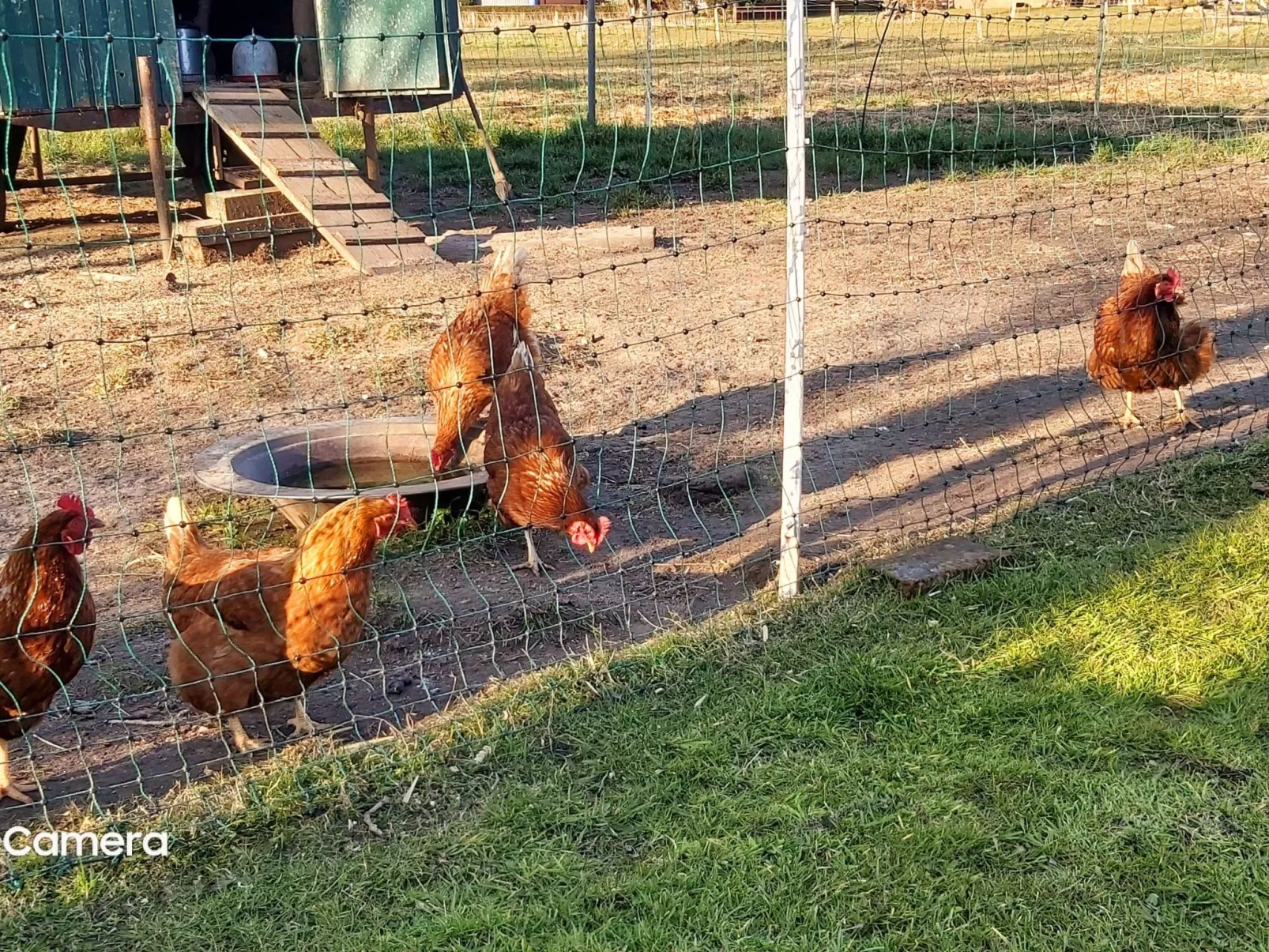 In Bohmstedt mit Großem Garten