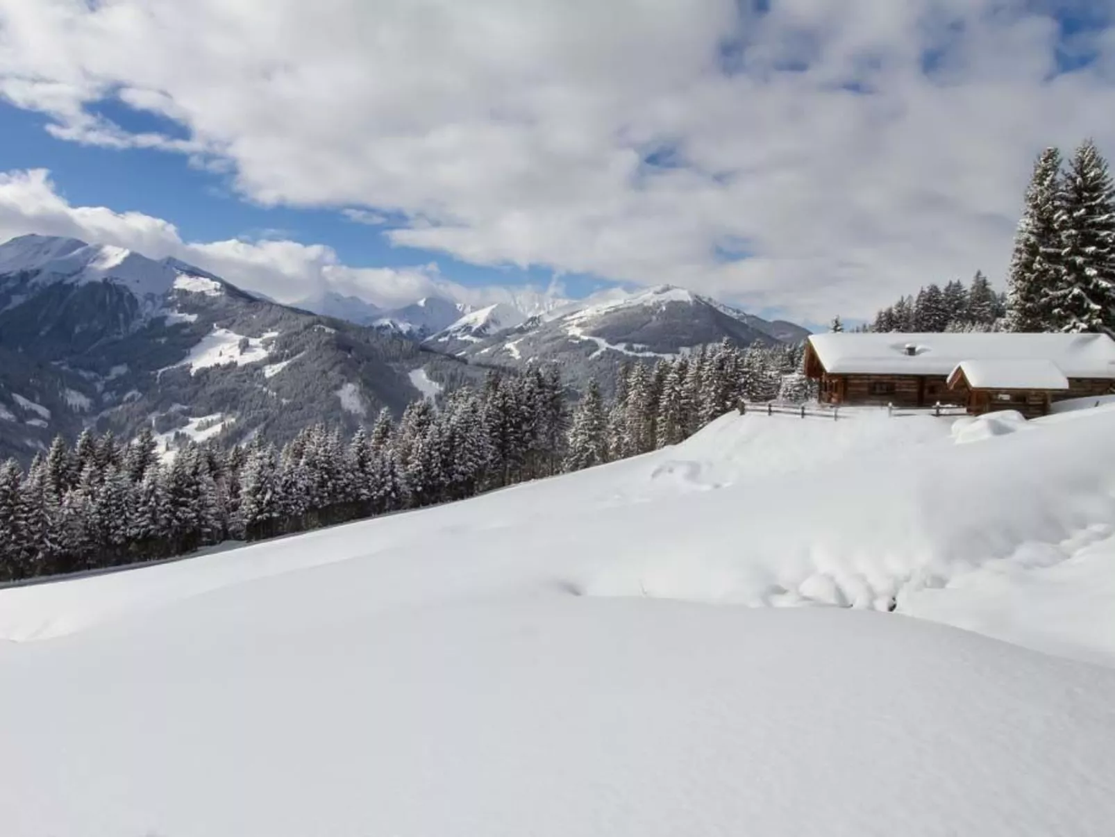 Remberghütte in Viehhofen