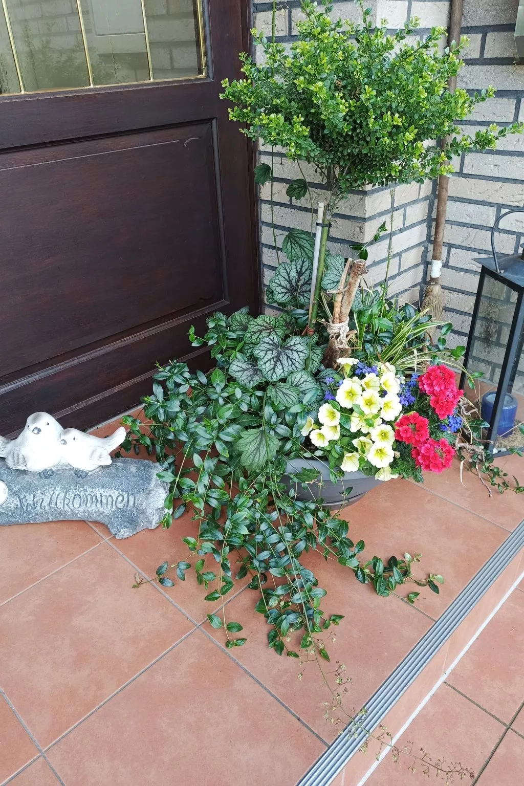 Zwei Finken in Wiesmoor