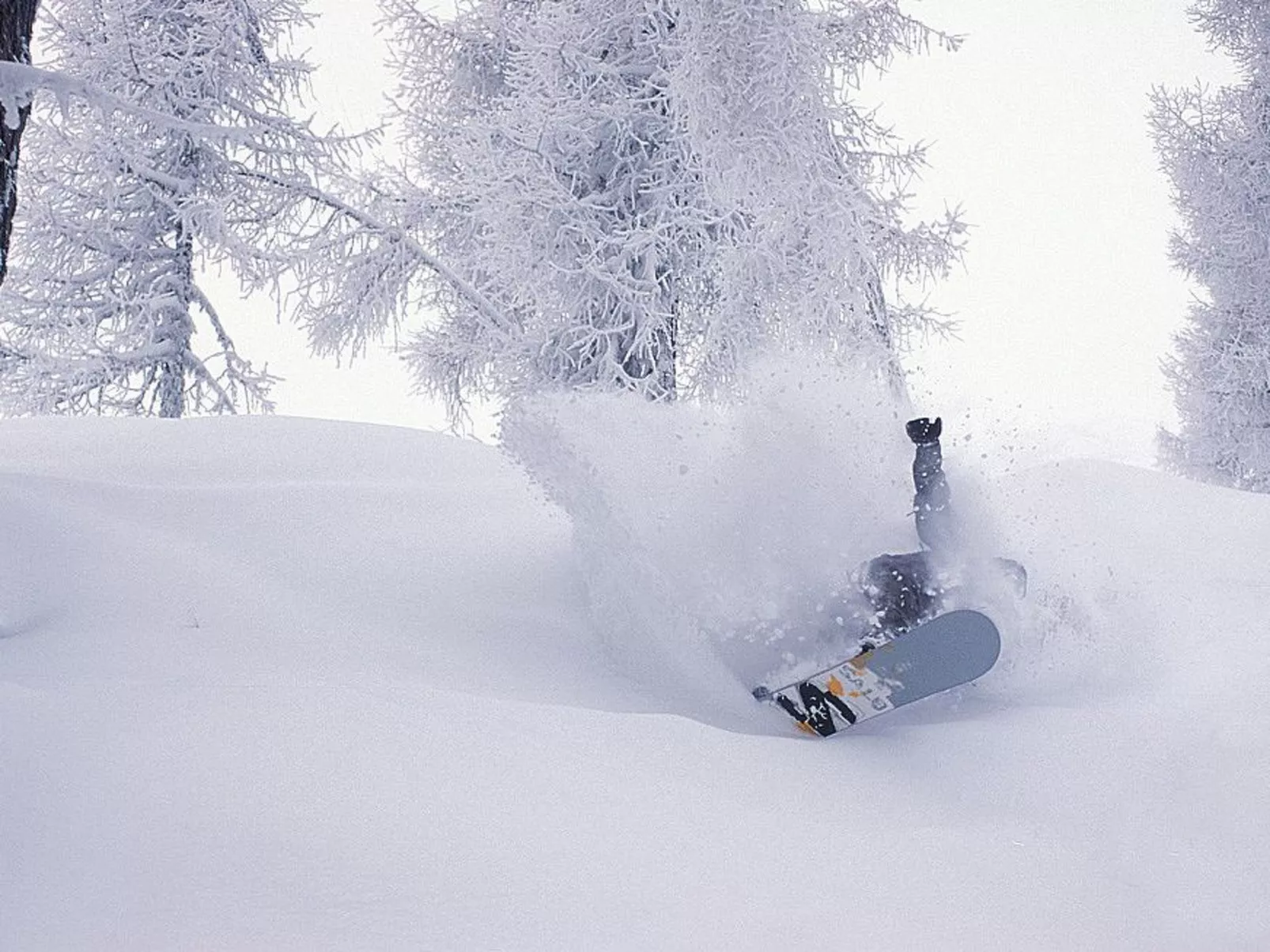 Im Garten der Dolom - Erholung pur-Buiten