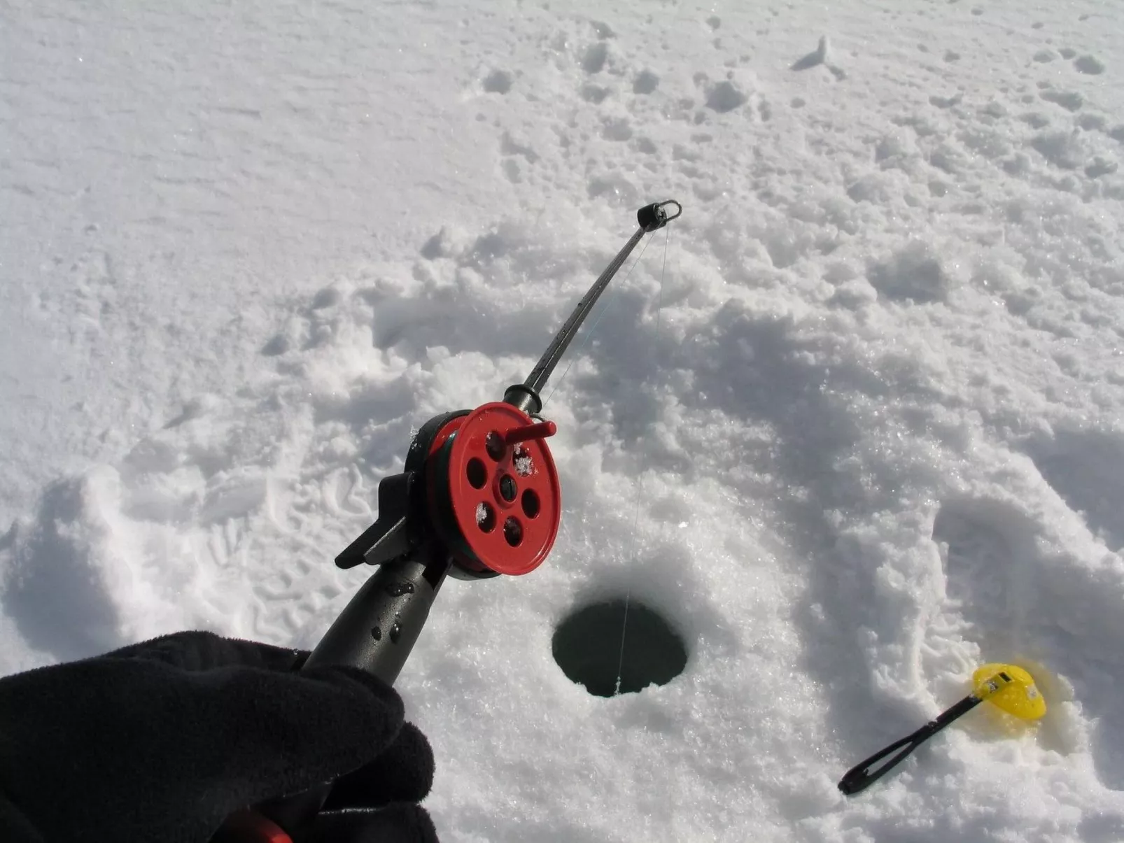 Charmantes Blockhaus, Sauna und Kamin-Image-tags.info