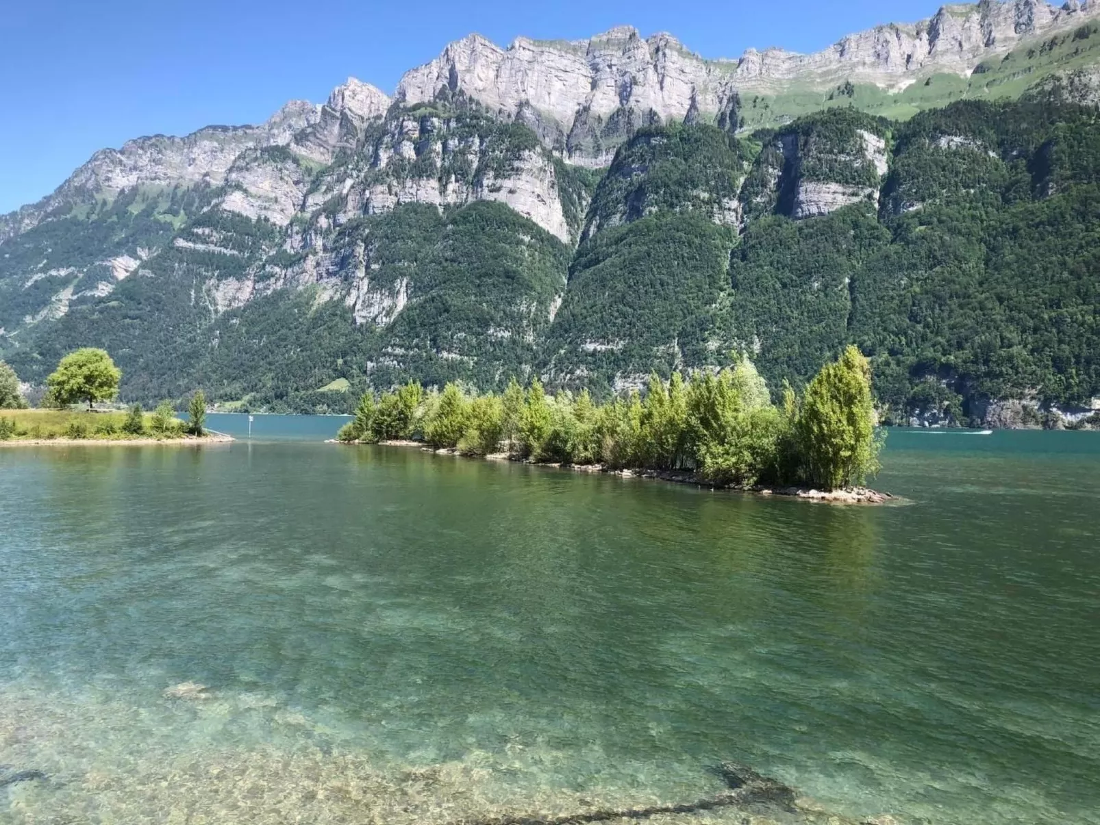 Amazing Chalet | Heidiland | Pool & Sauna