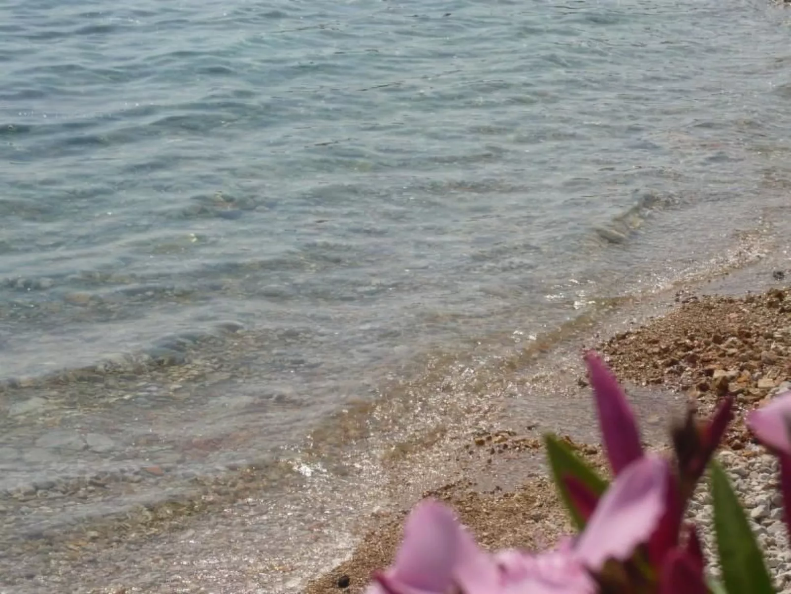 Erdgeschosswohnung Mia für vier Personen