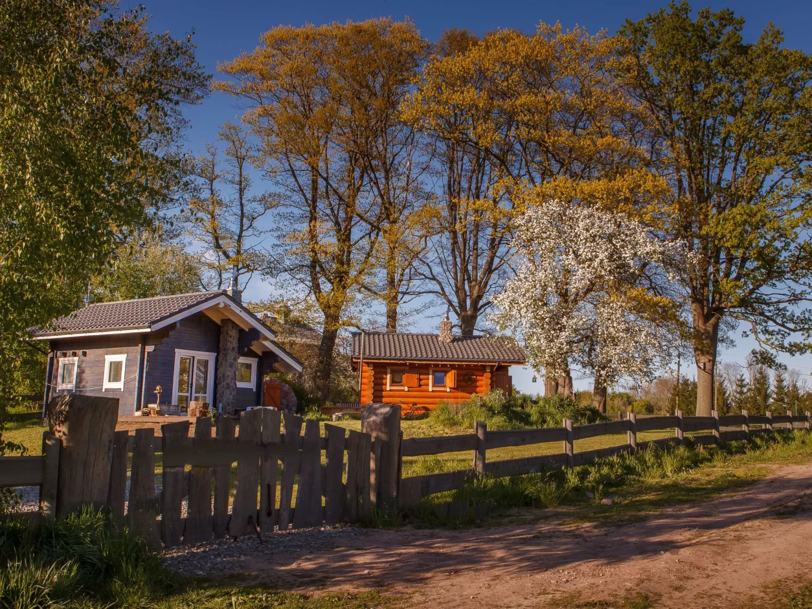 Saunabereich im Circle - Blue House