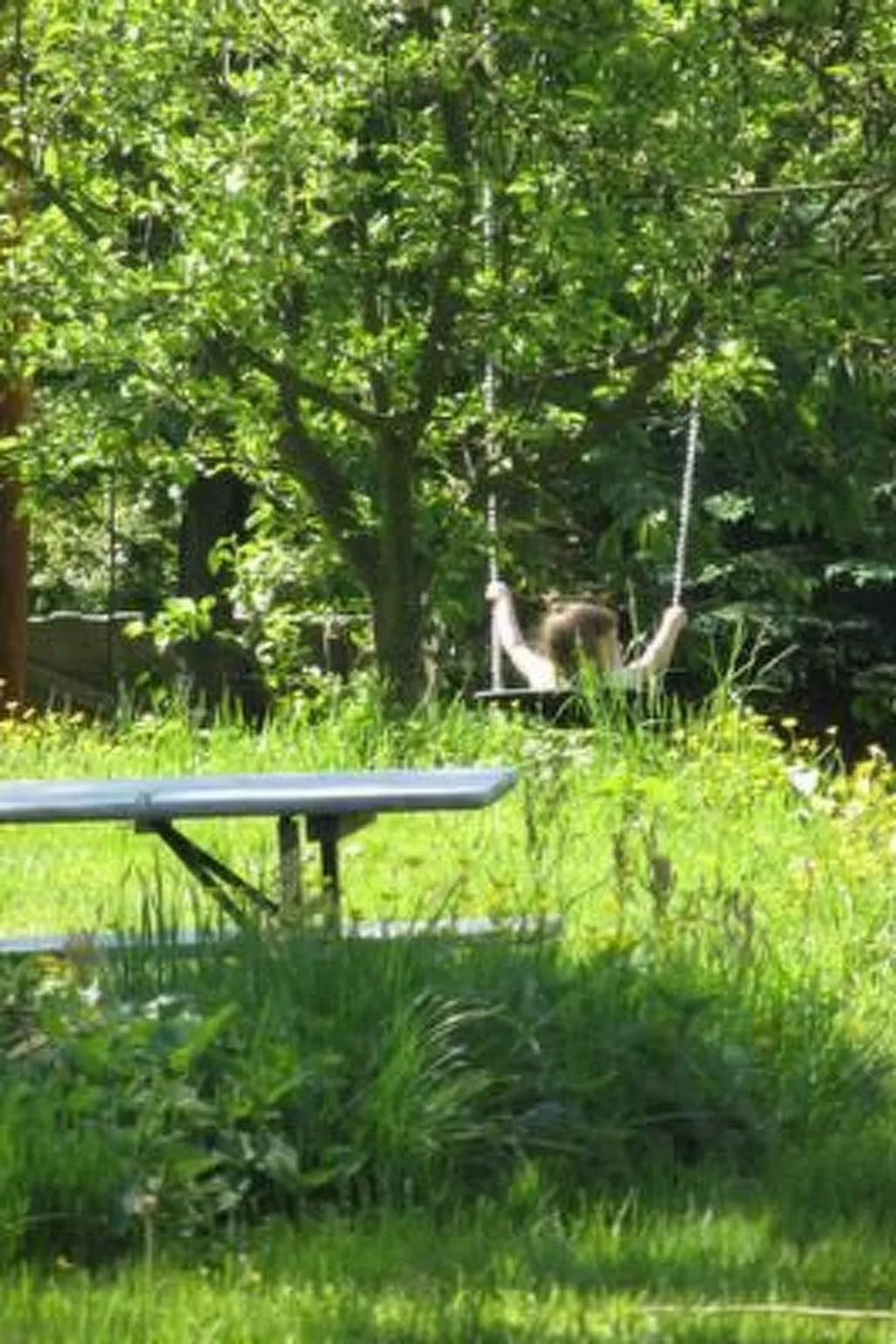 Blockhaus in Gajówka mit Kaminofen