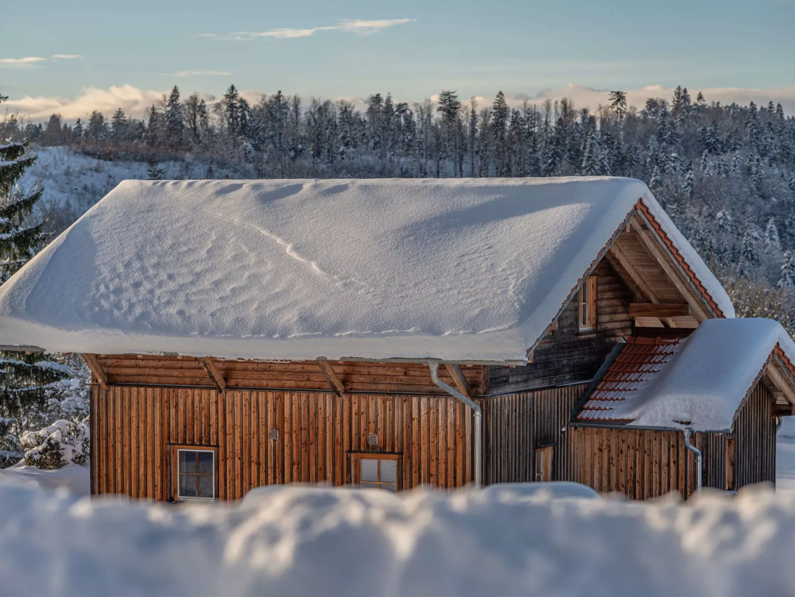 Hoizhaus am Badlberg-Buiten