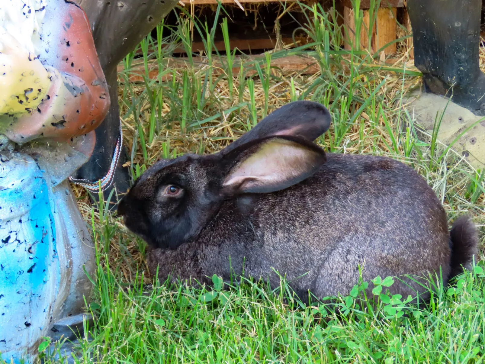 Waldpension in Steinfeld