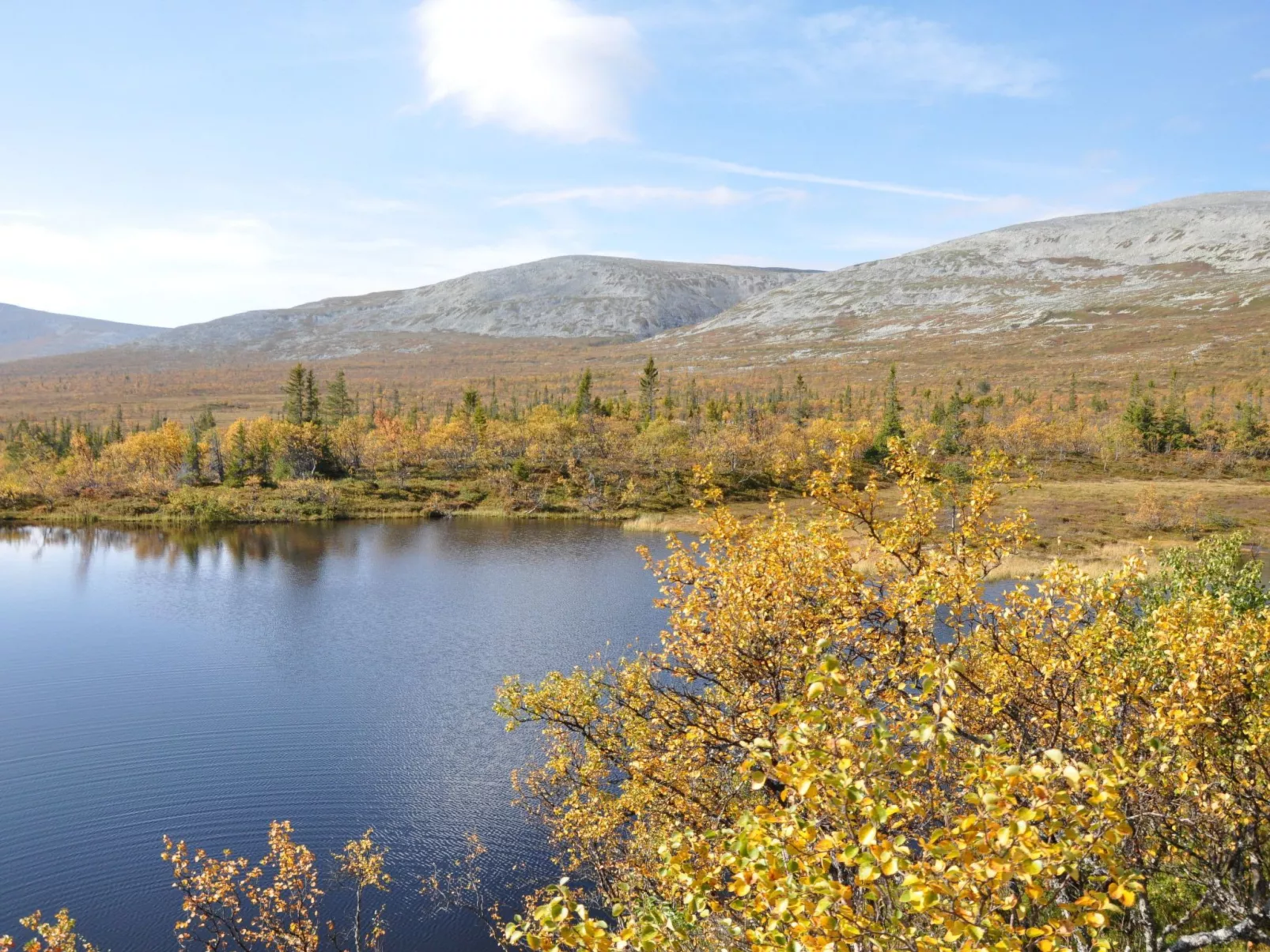 Charmantes modernes Blockhaus mit Kamin