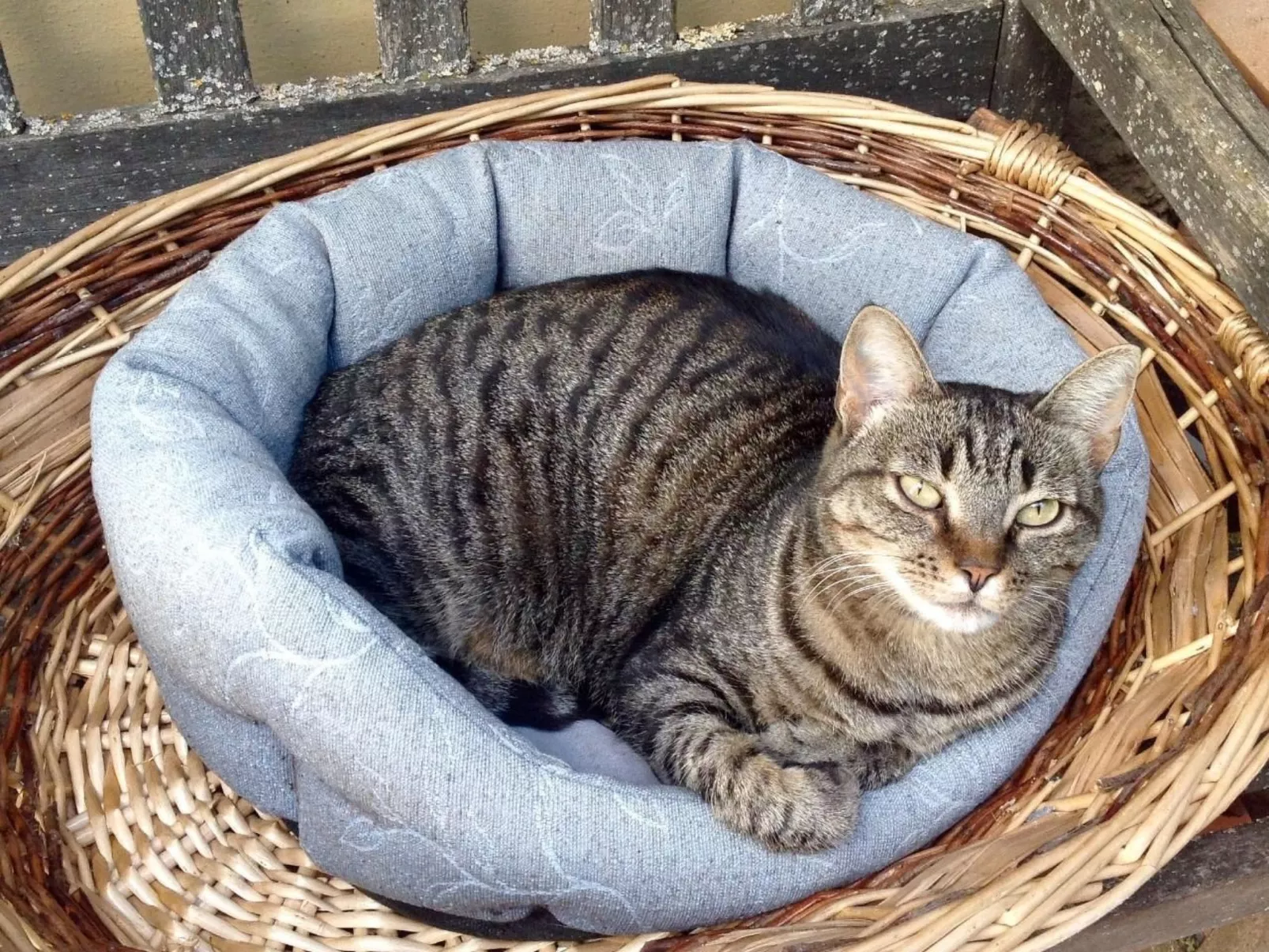 Drei-Zimmer-Wohnung in einem Bauernhaus im Zentrum der Toskana