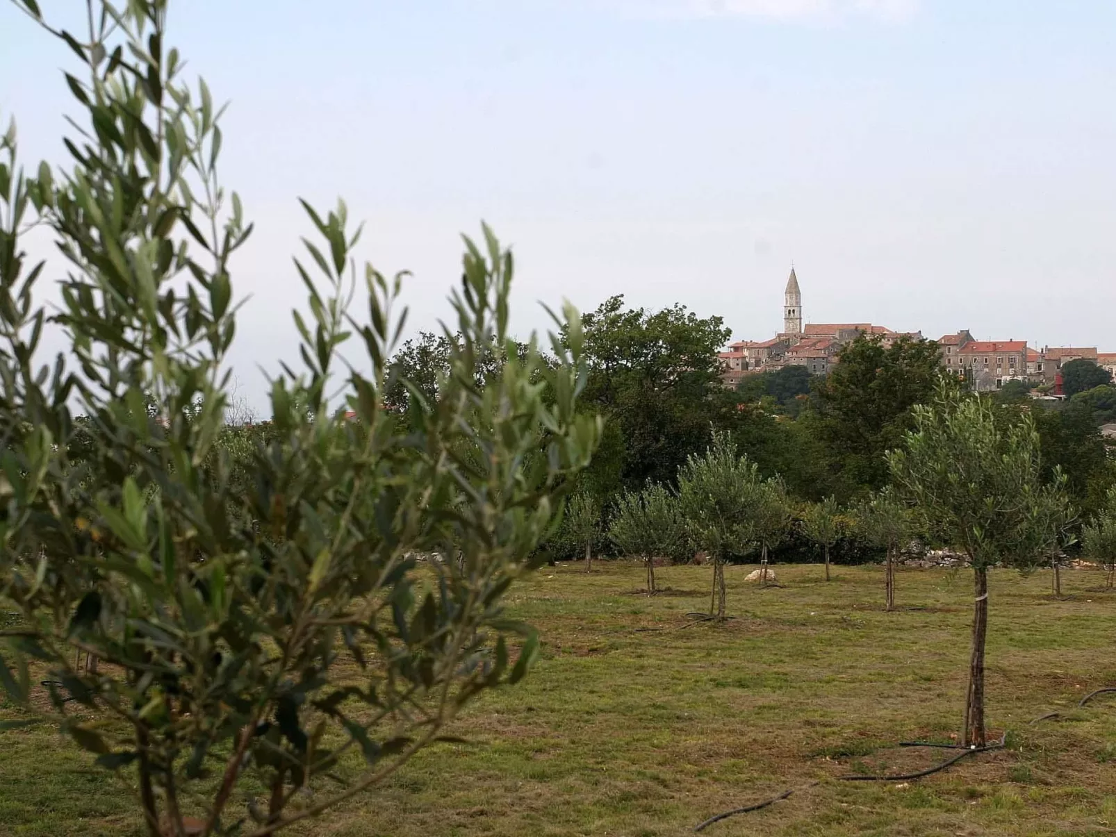 Ferienvilla mit Garten, Grill und Terrasse-Buiten