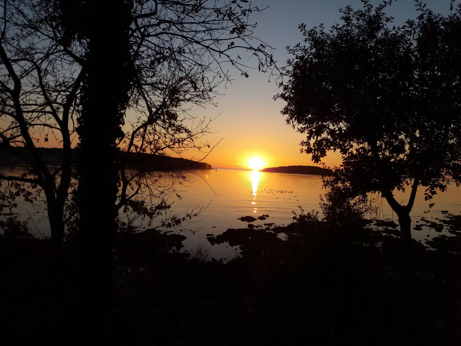 Freistehender Bungalow Perla mit Garten und Grill-Buiten