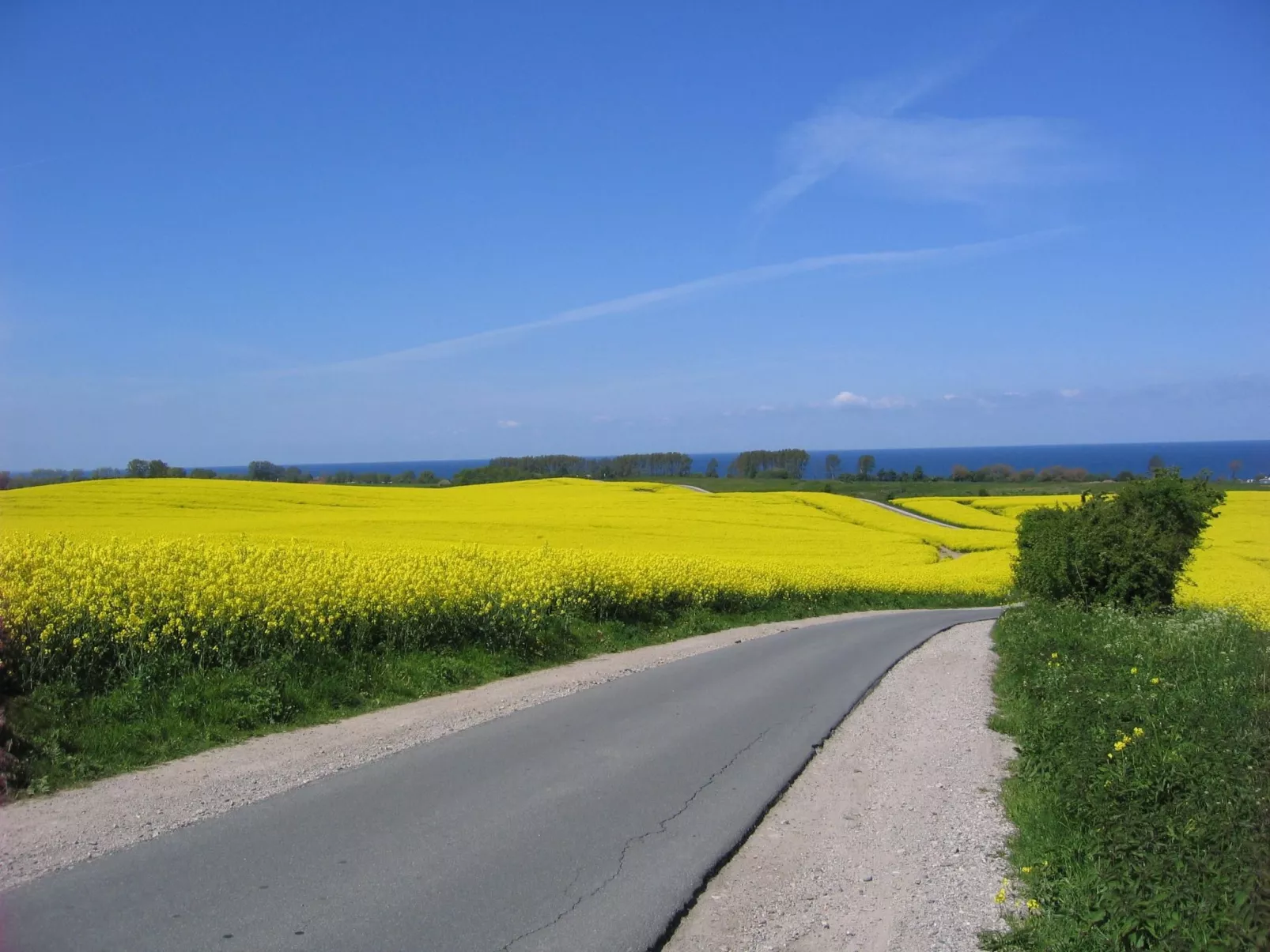 Mit großer Terrasse und herrlicher Aussicht
