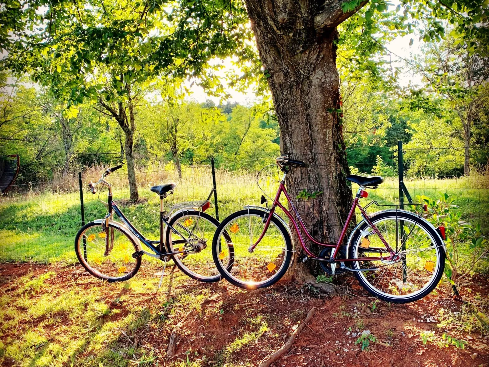 Charmante Villa mit gepflegtem Garten und beheiztem Pool-Buiten