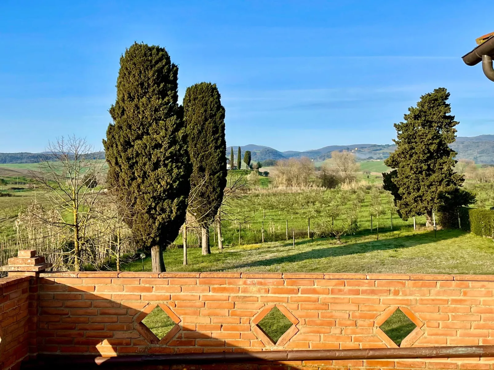 Ostoncino biodynamisch-Buiten