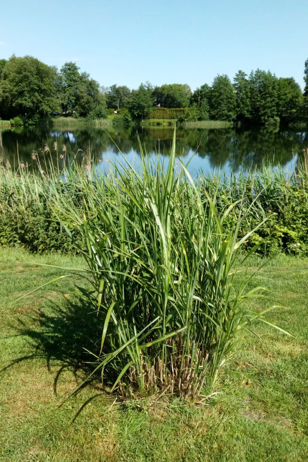 Haus am Kiessee - Mediterranes Flair mit Seeblick-Buiten