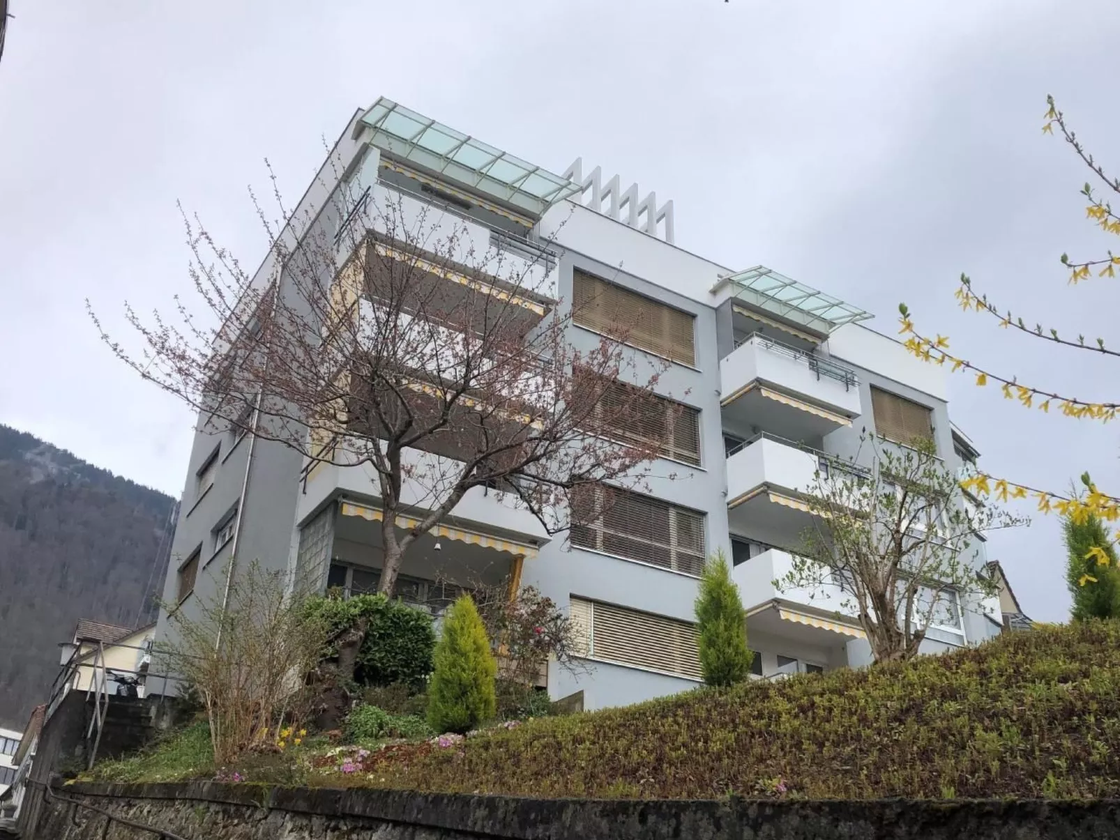 Studio "Rubi" Weggis