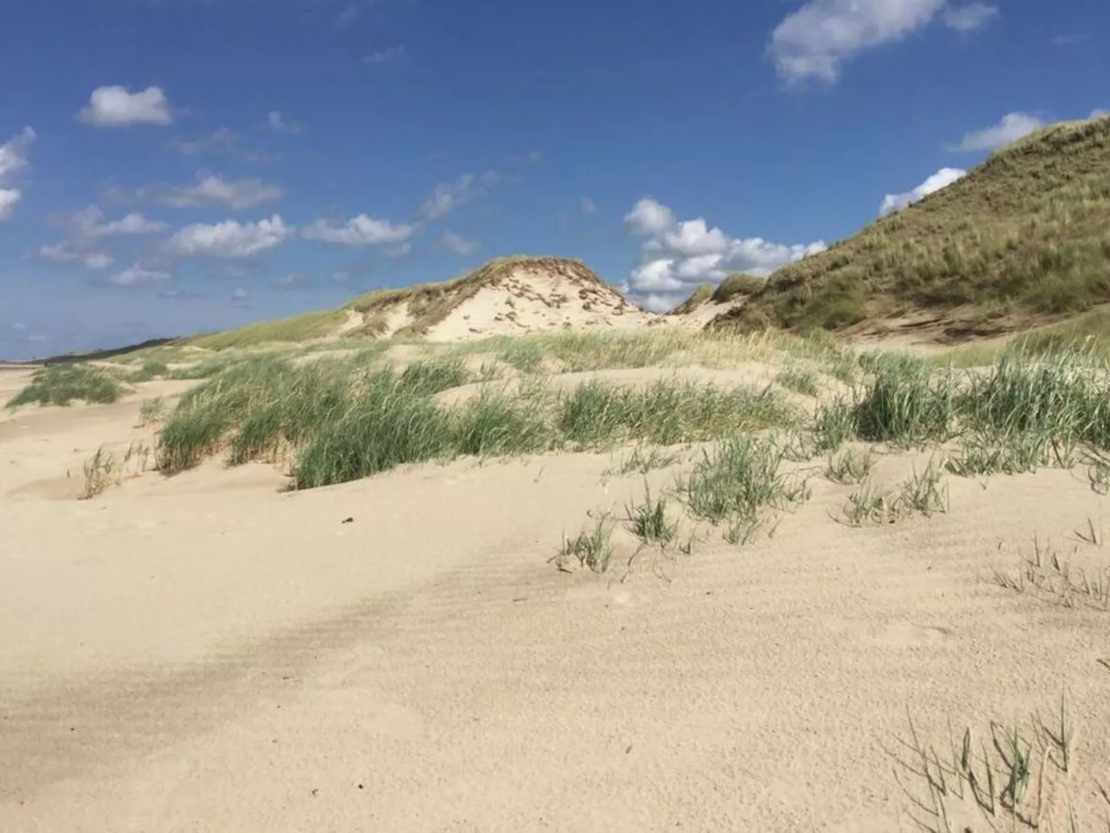 De Korre 2 in Callantsoog