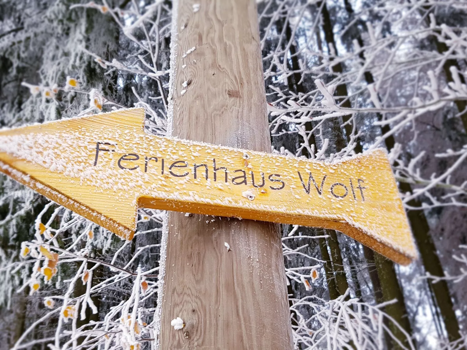 Am Wald gelegenes Ferienhaus "Wolf" mit Kamin-Buiten